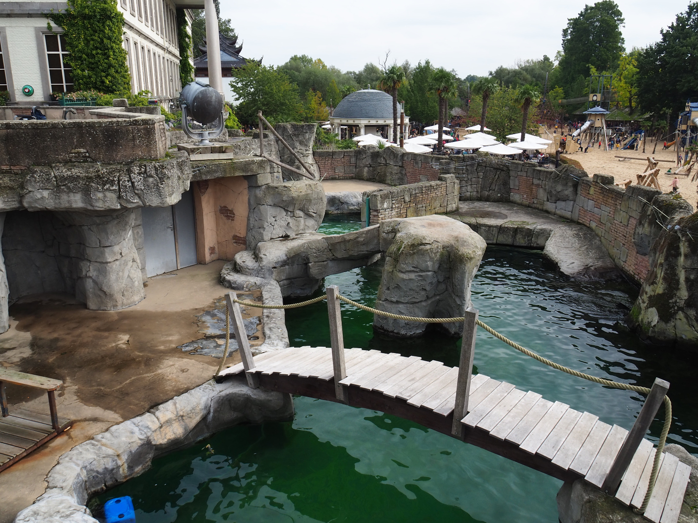 Cape fur seal exhibit, 2019-10-05