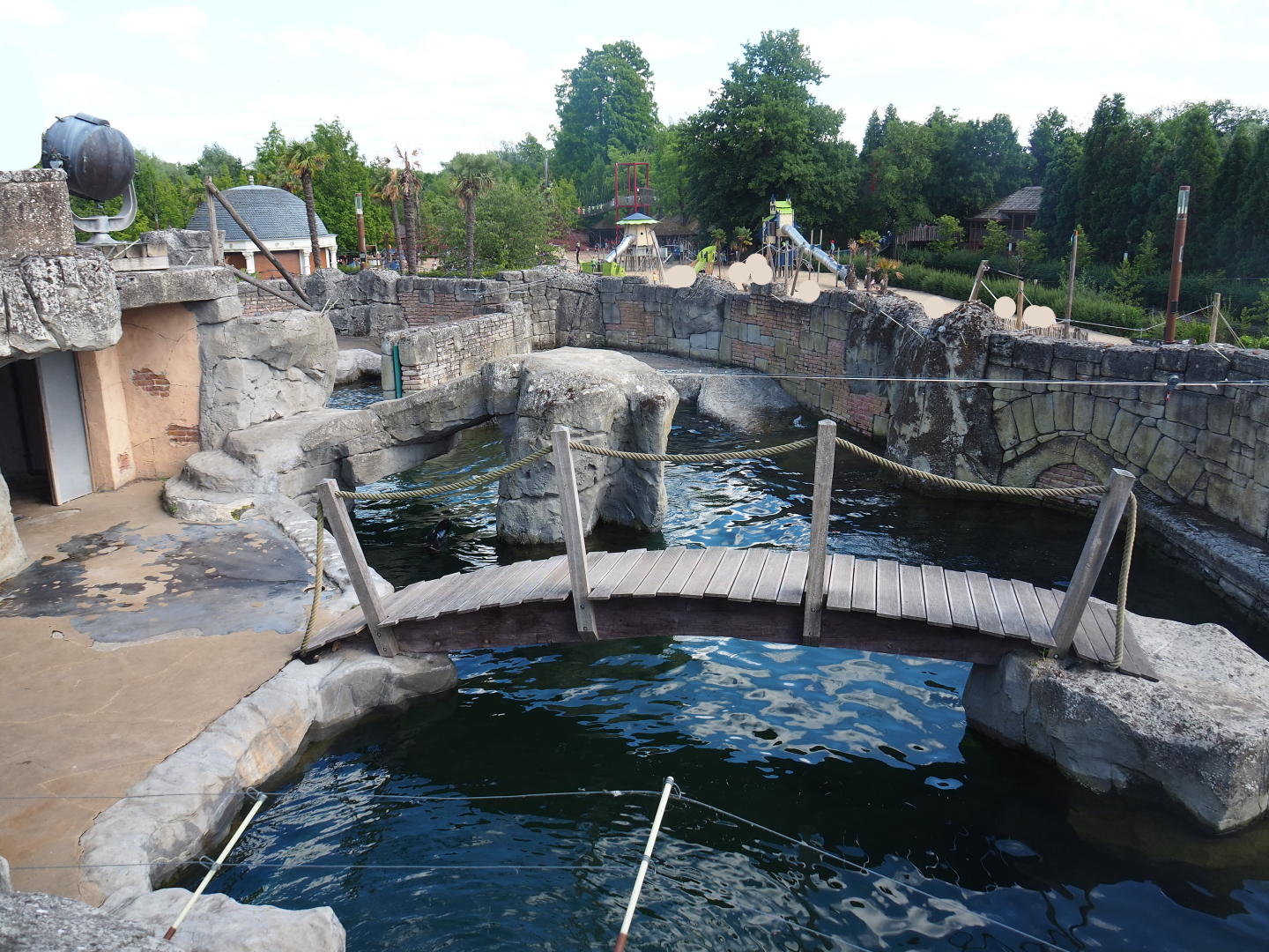 Cape fur seal exhibit, 2022-06-28