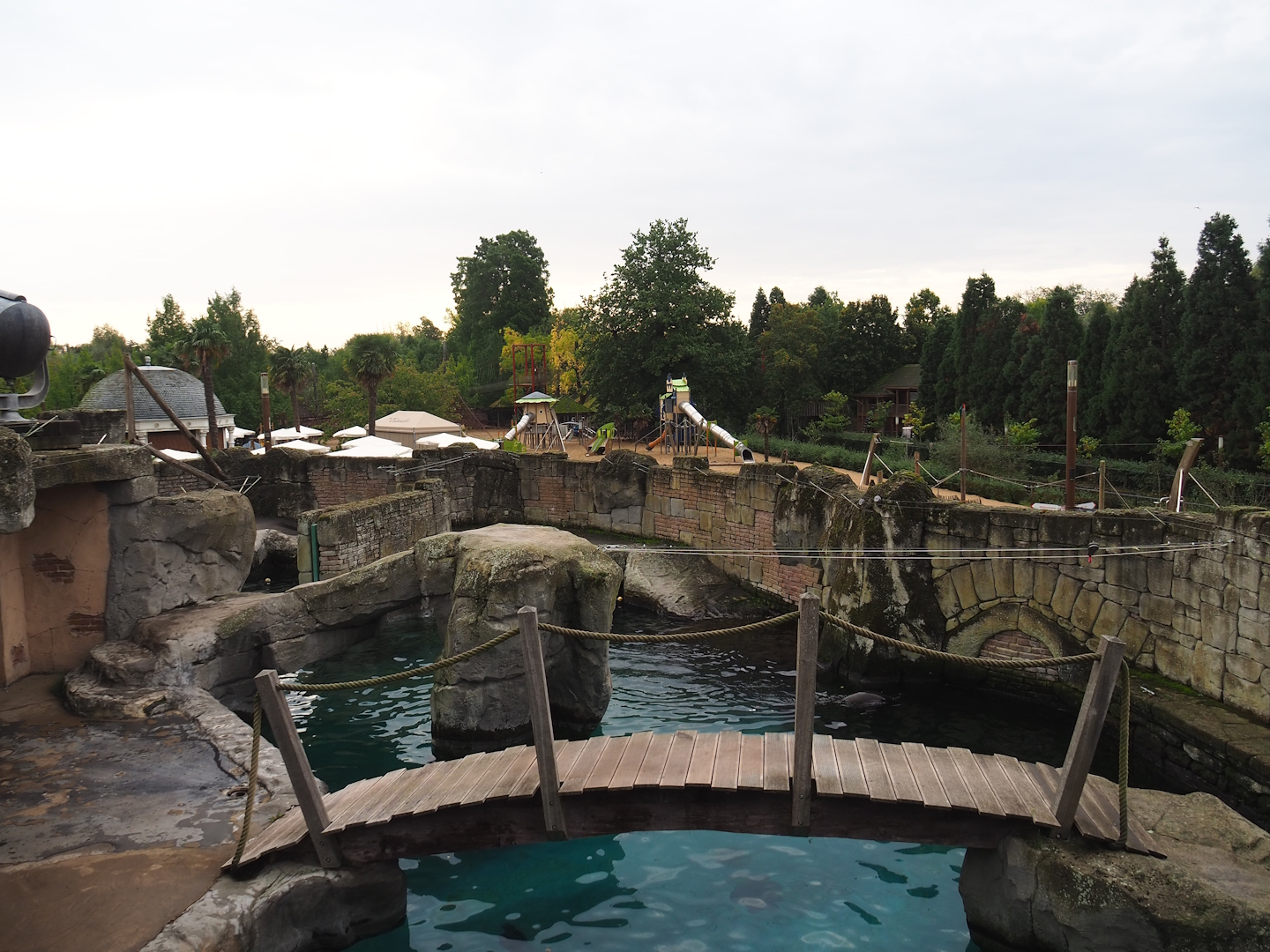 Cape fur seal exhibit, 2023-10-13