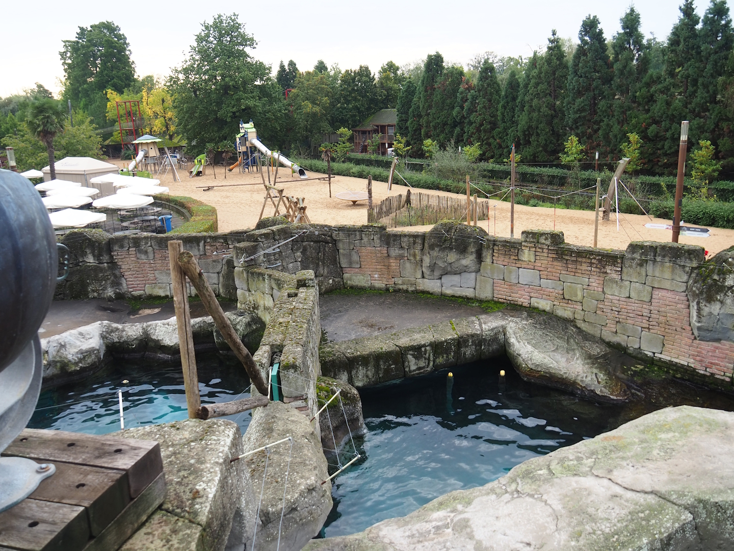 Cape fur seal exhibit, 2023-10-13