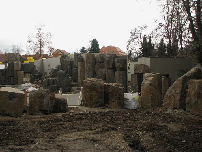 Cape fur seal exhibit at Prague zoo
