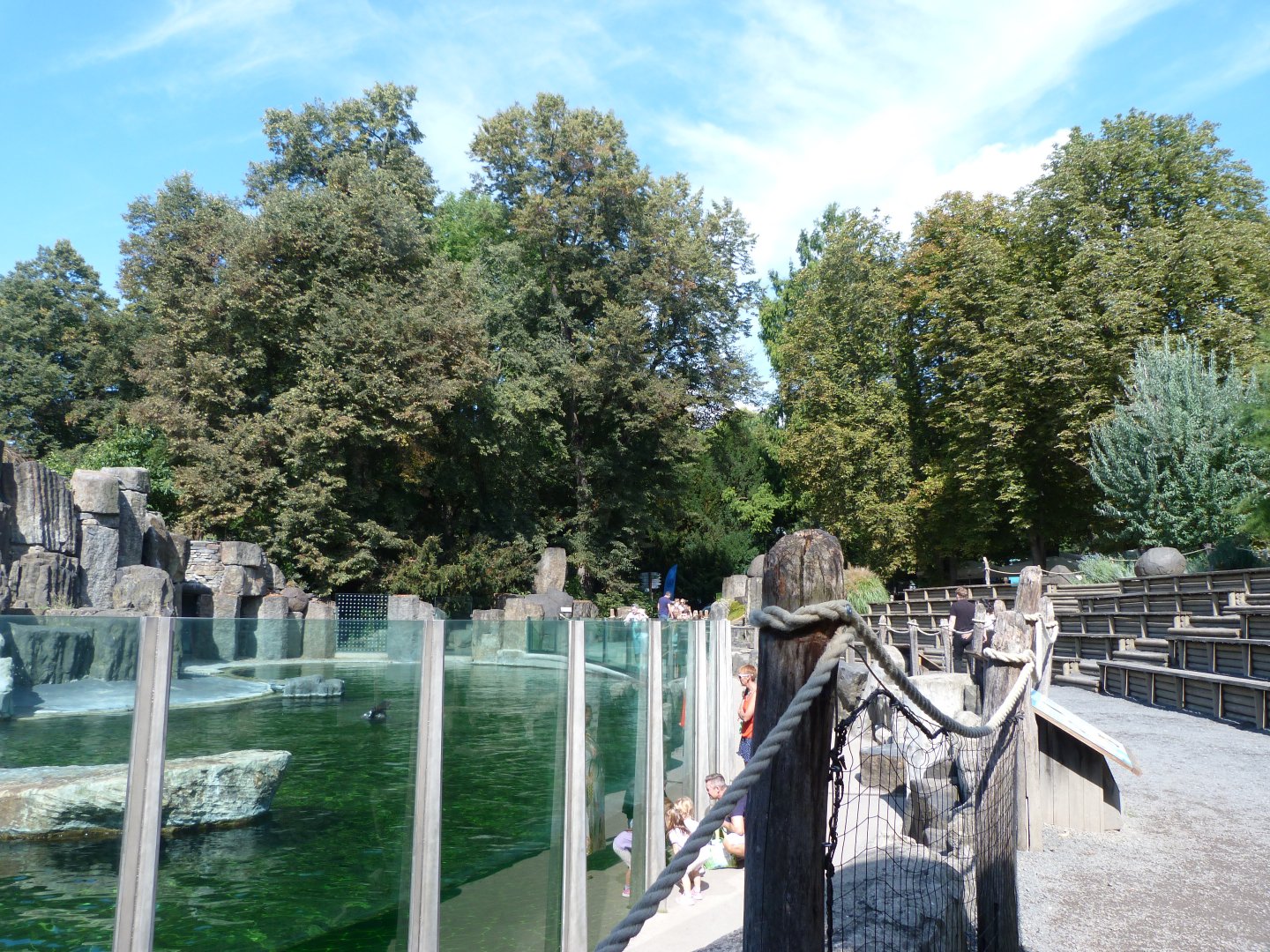 Cape fur seal exhibit -Zoo Praha (2025)