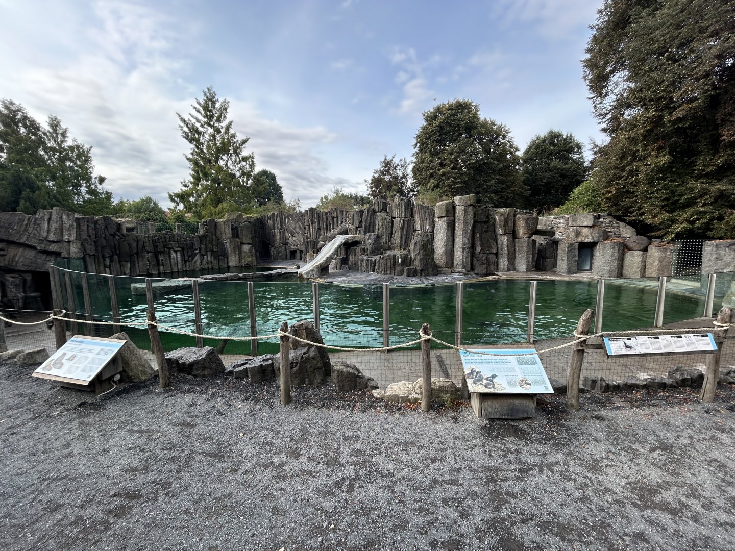 Cape Fur Seal Exhibit