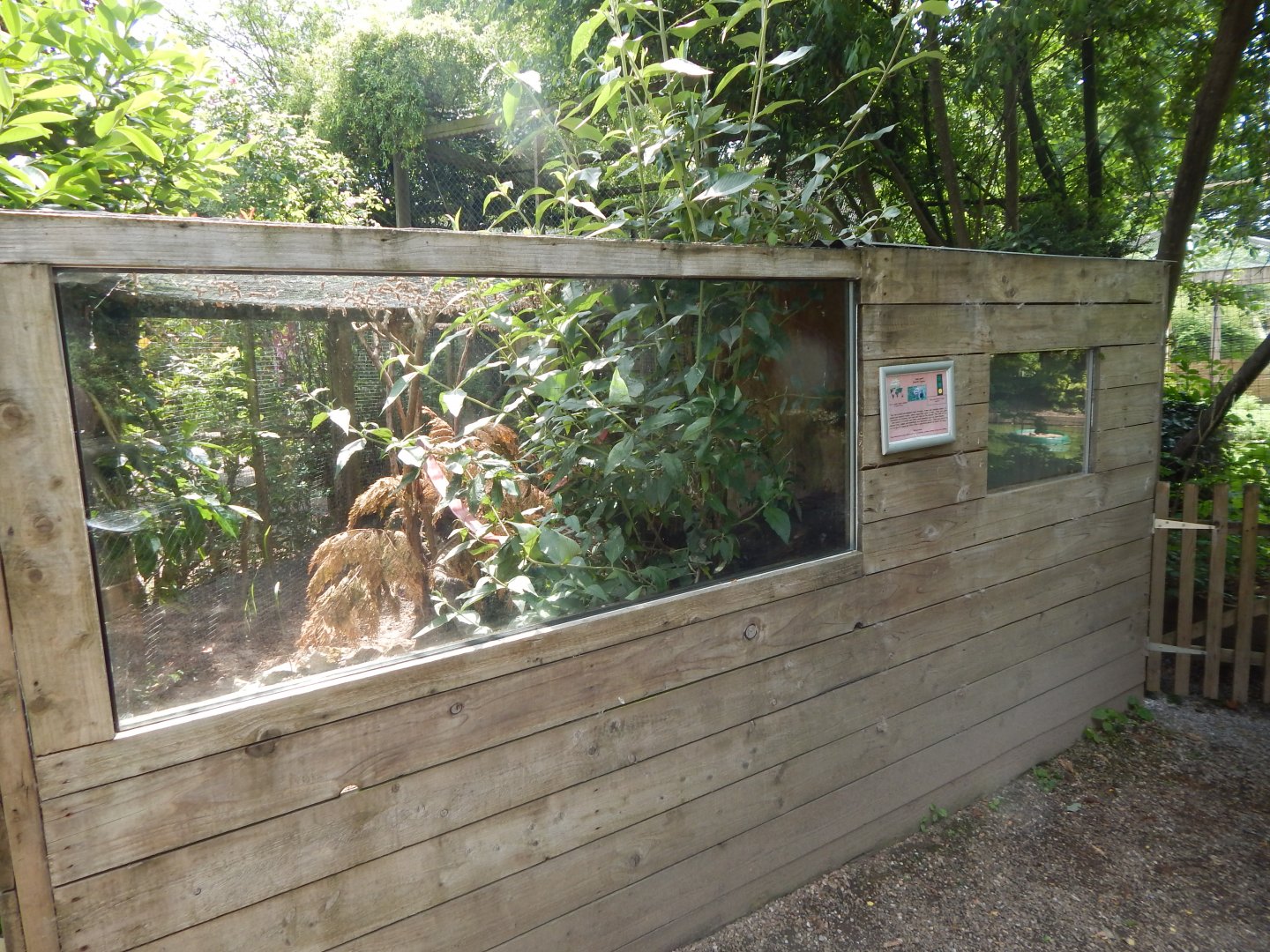 Cape genet enclosure 060625