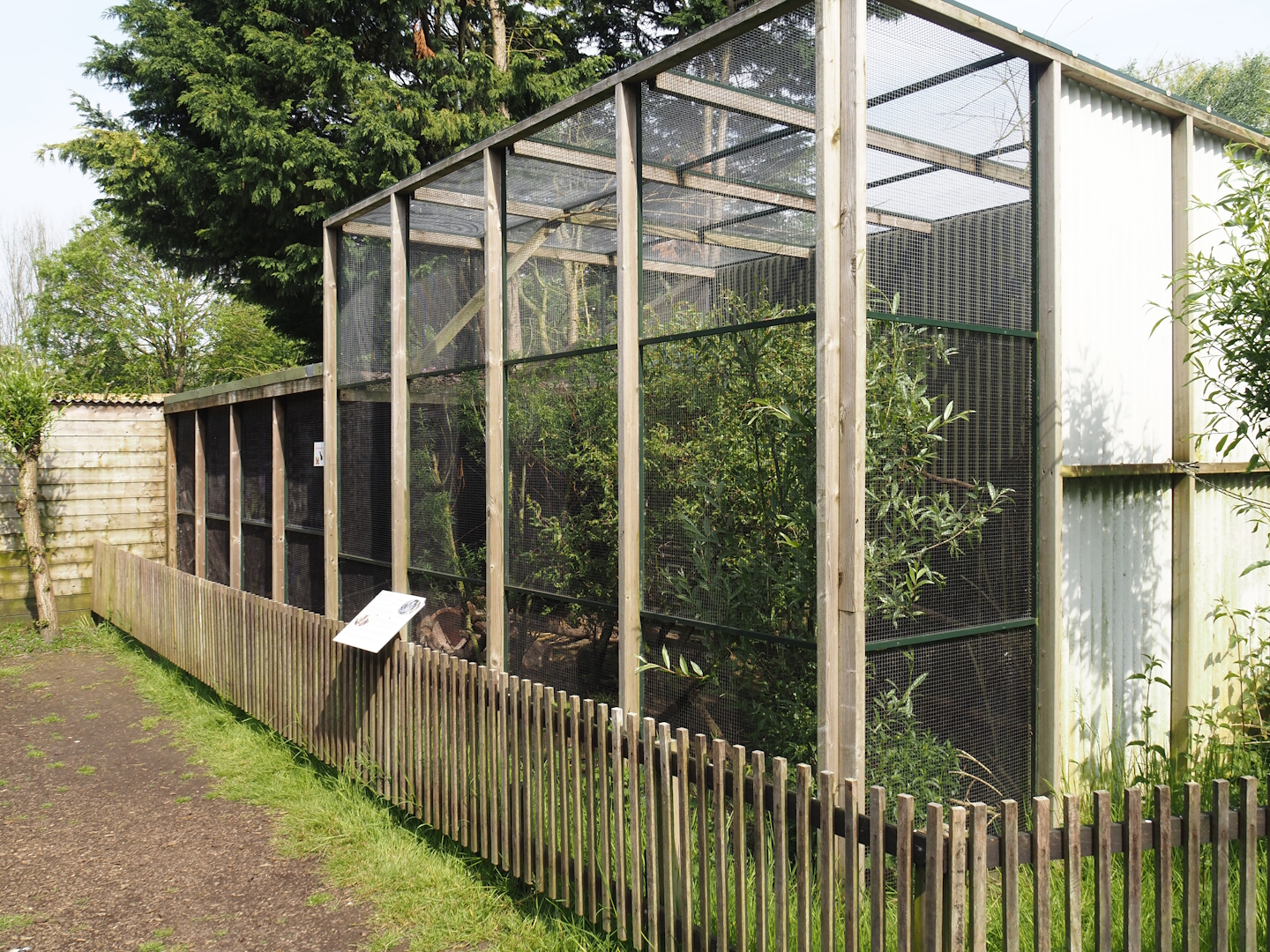 Cape genet exhibit, 2024-05-11