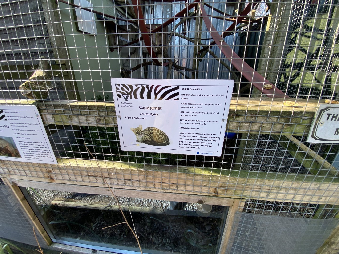 Cape genet signage 020325