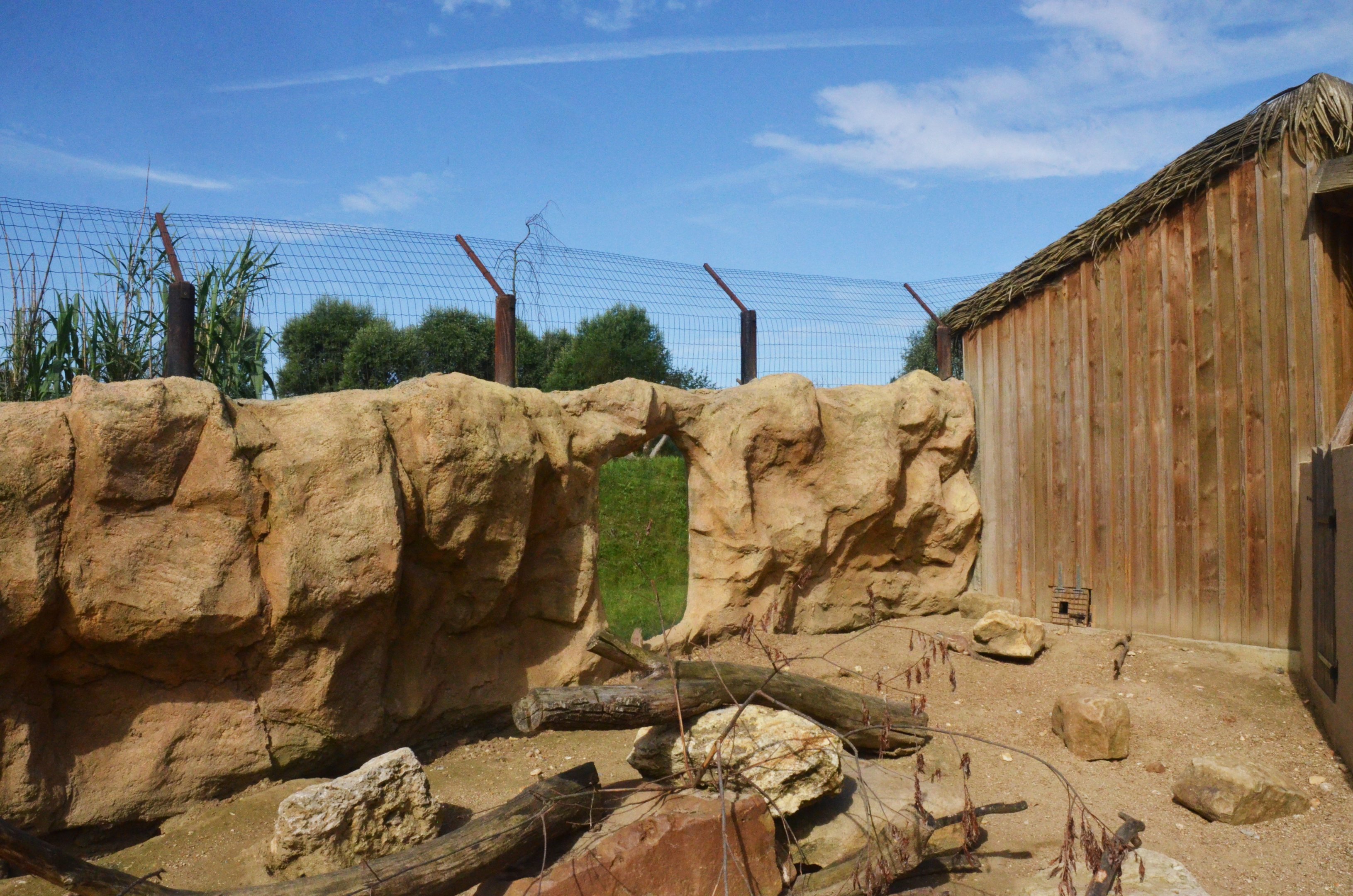 Cape Ground Squirrel and Cape Crested Porcupine Enclosure at Biotropica, 16/06/18
