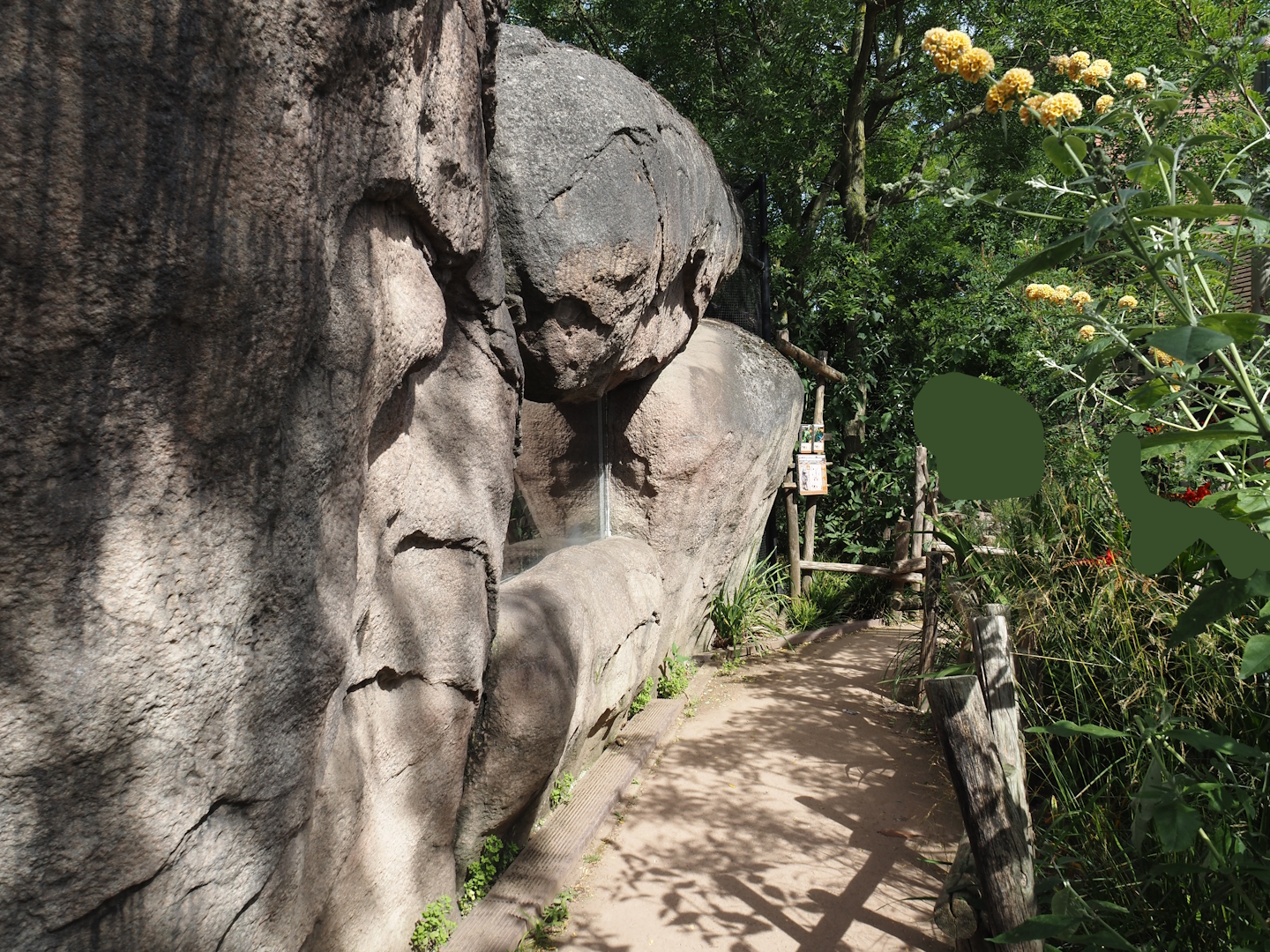Cape ground squirrel, Guinea turaco and Purple glossy starling house, 2024-06-30