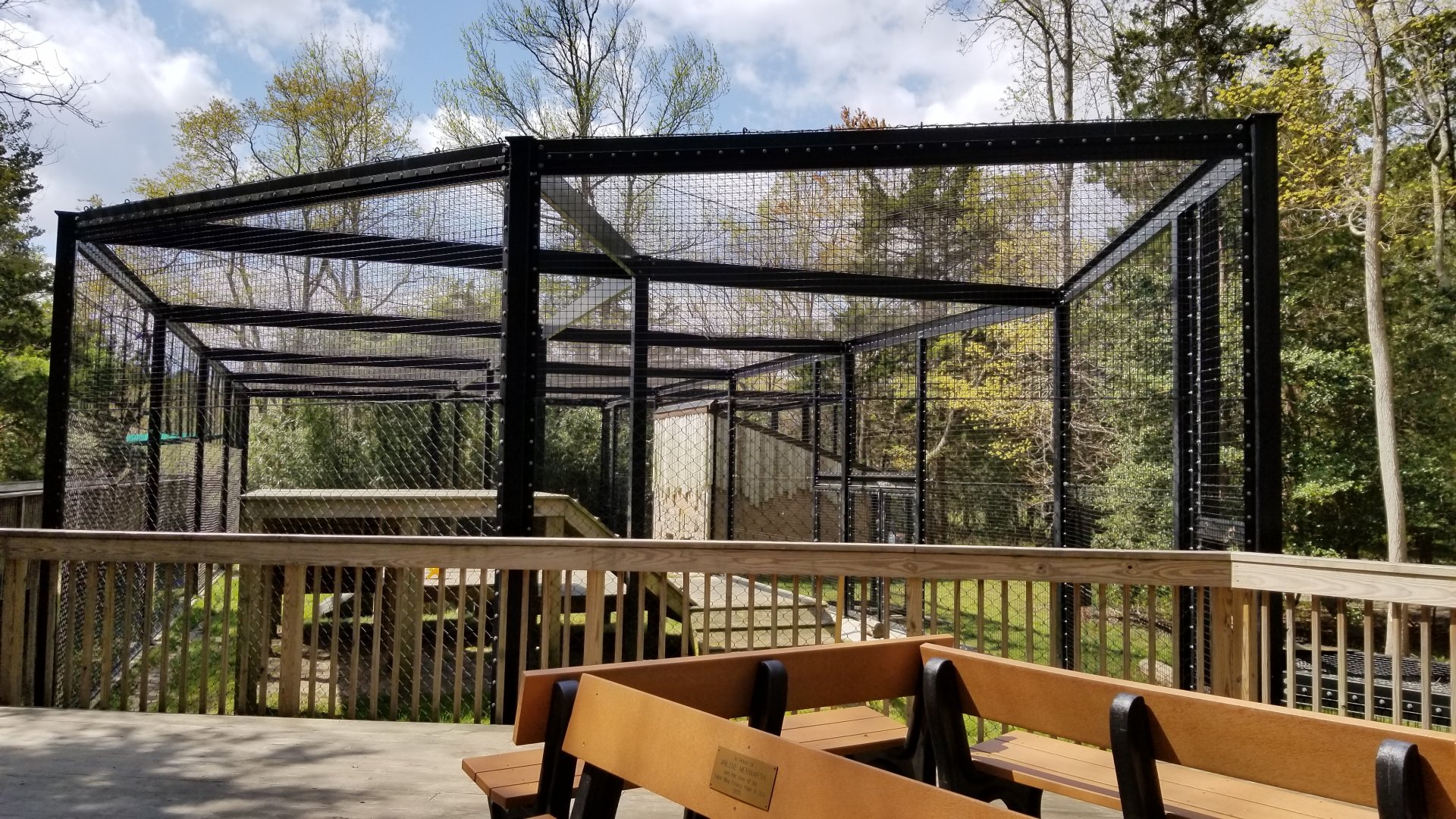 Cape May - Amur Leopard, benches and new exhibit