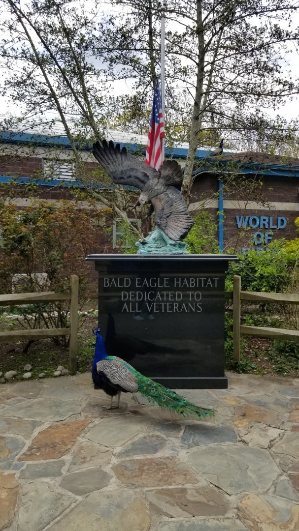 Cape May - Bald Eagle monument