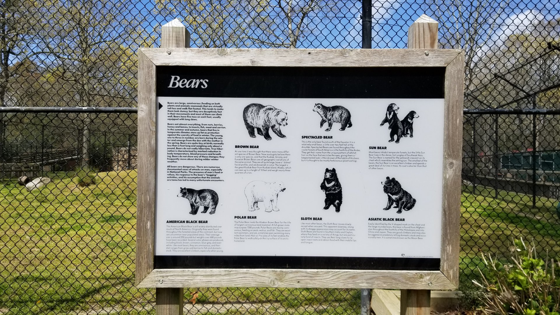 Cape May - Bear species sign, missing giant panda