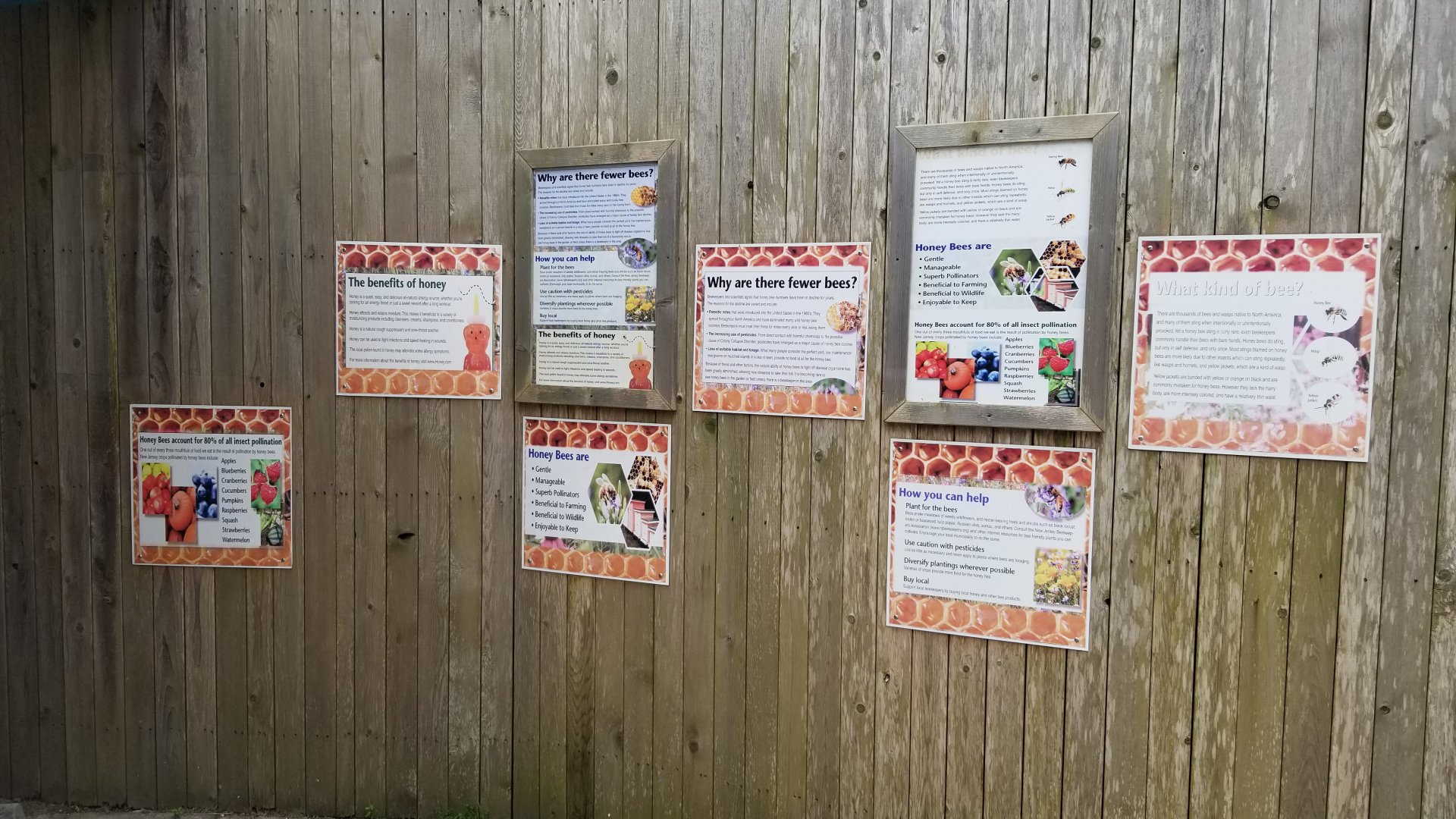 Cape May - Bee signage