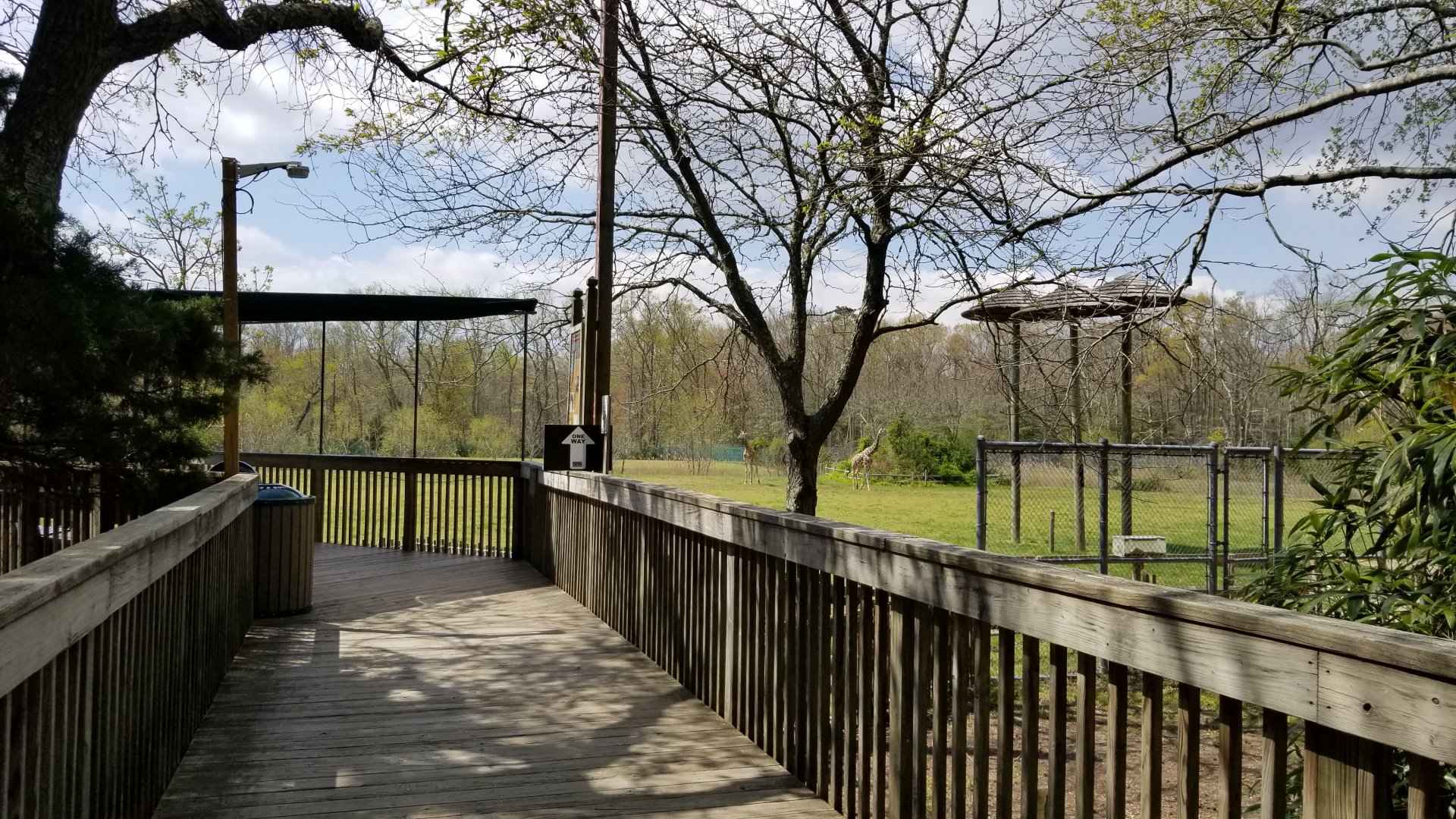 Cape May - Boardwalk to giraffes