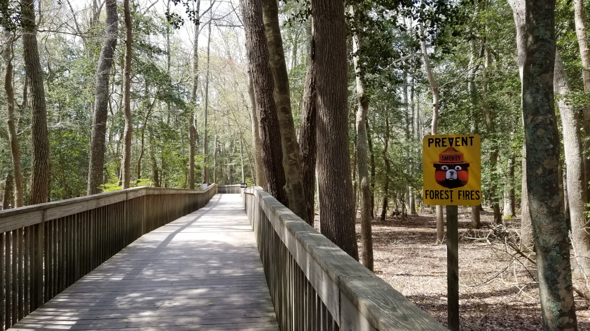 Cape May - Boardwalk to savanna