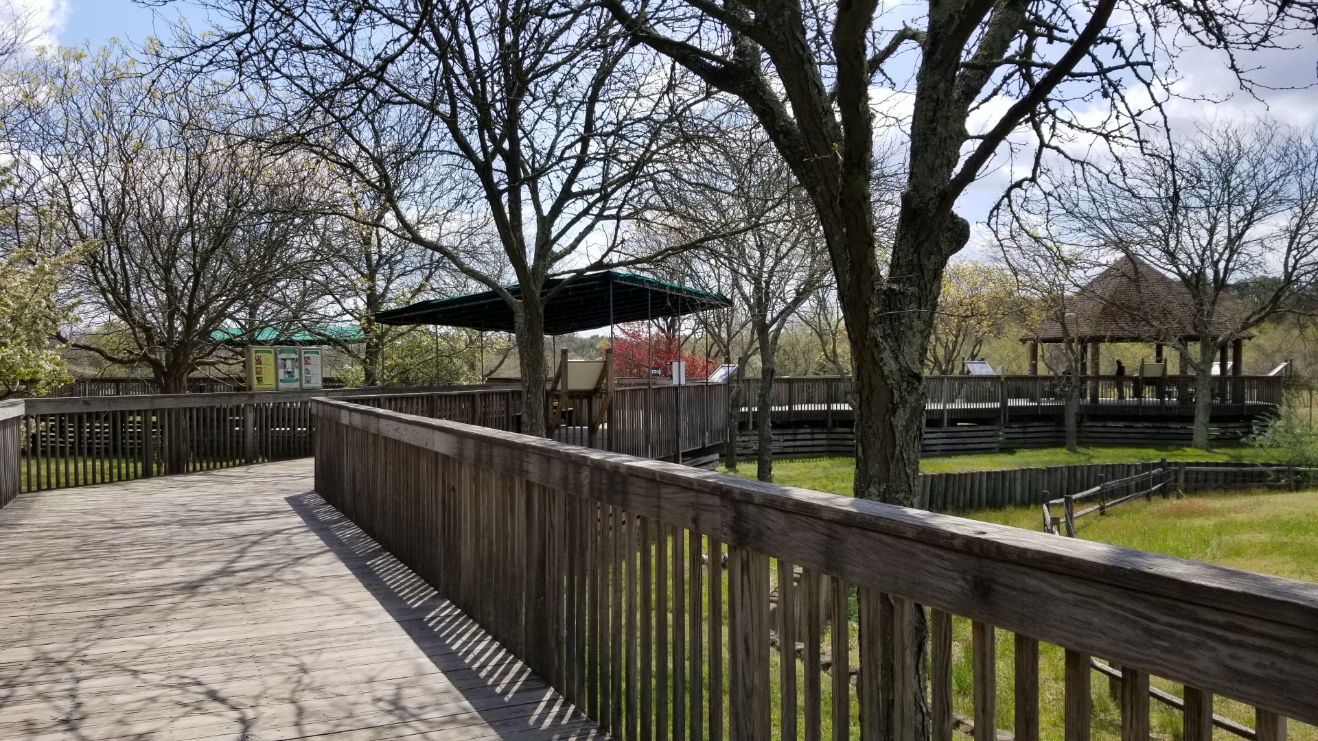 Cape May - Boardwalk to zebras