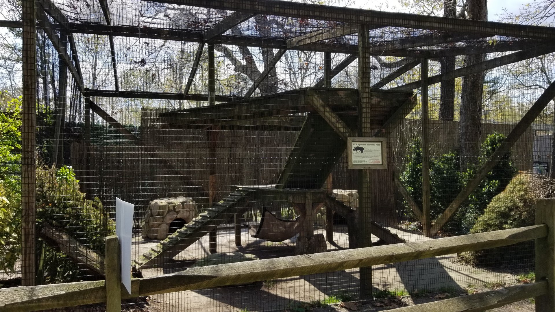 Cape May - Bobcat exhibit #1