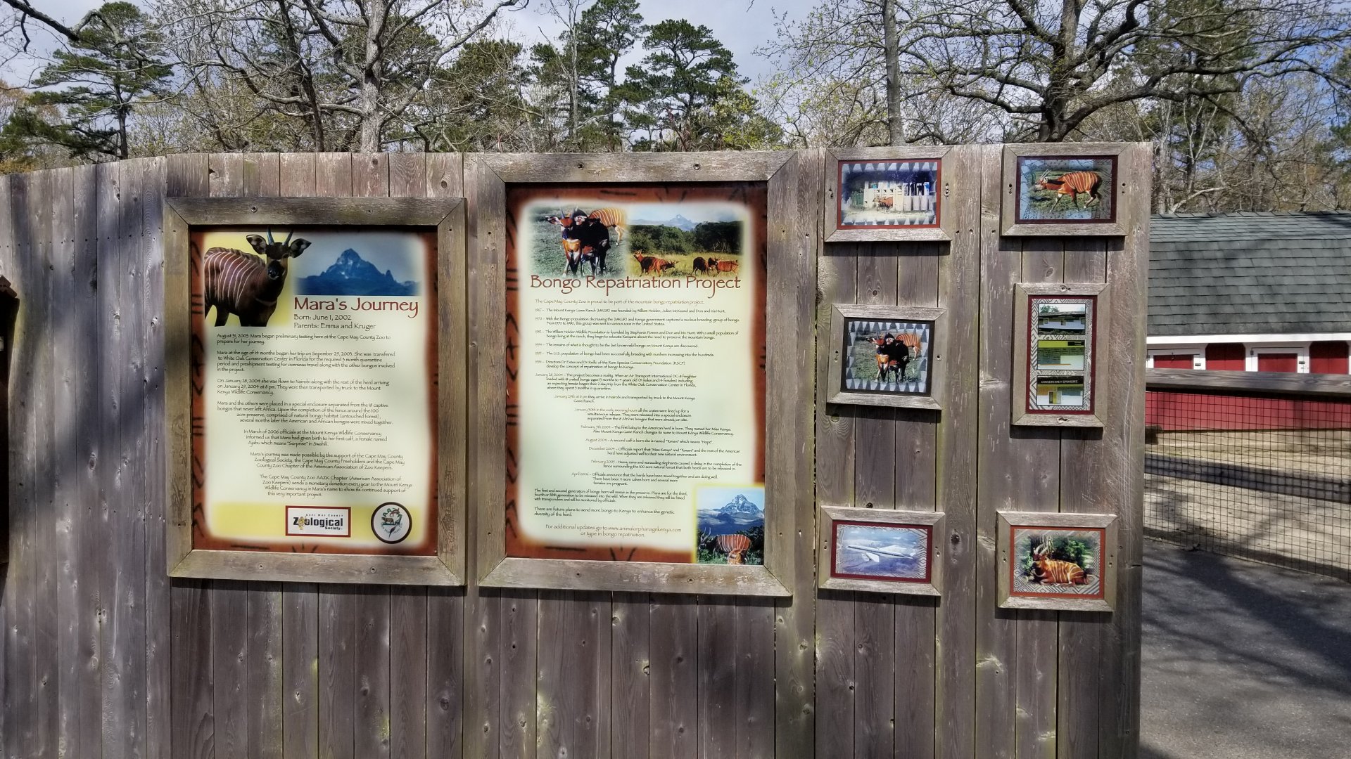 Cape May - Bongo Repatriation signs