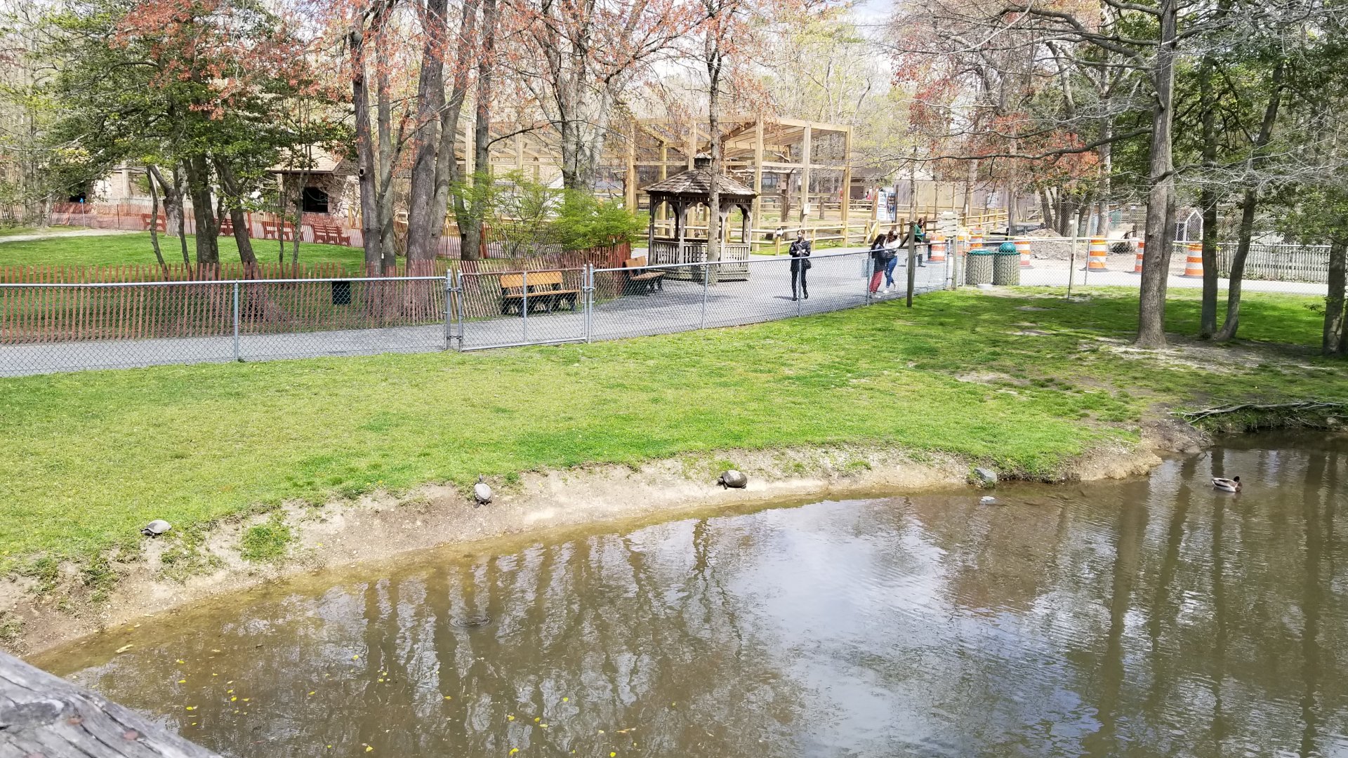 Cape May - Capybara exhibit