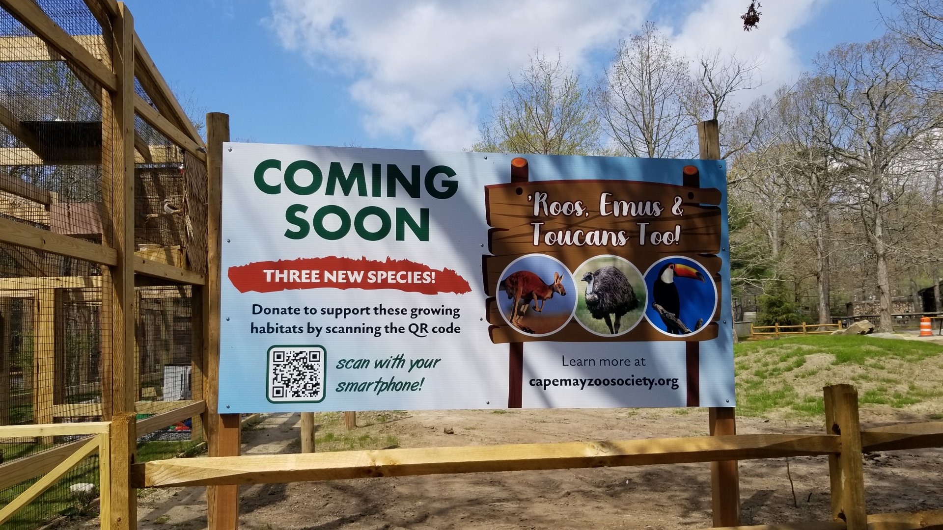 Cape May - Coming Soon, red kangaroos, emus, toco toucans