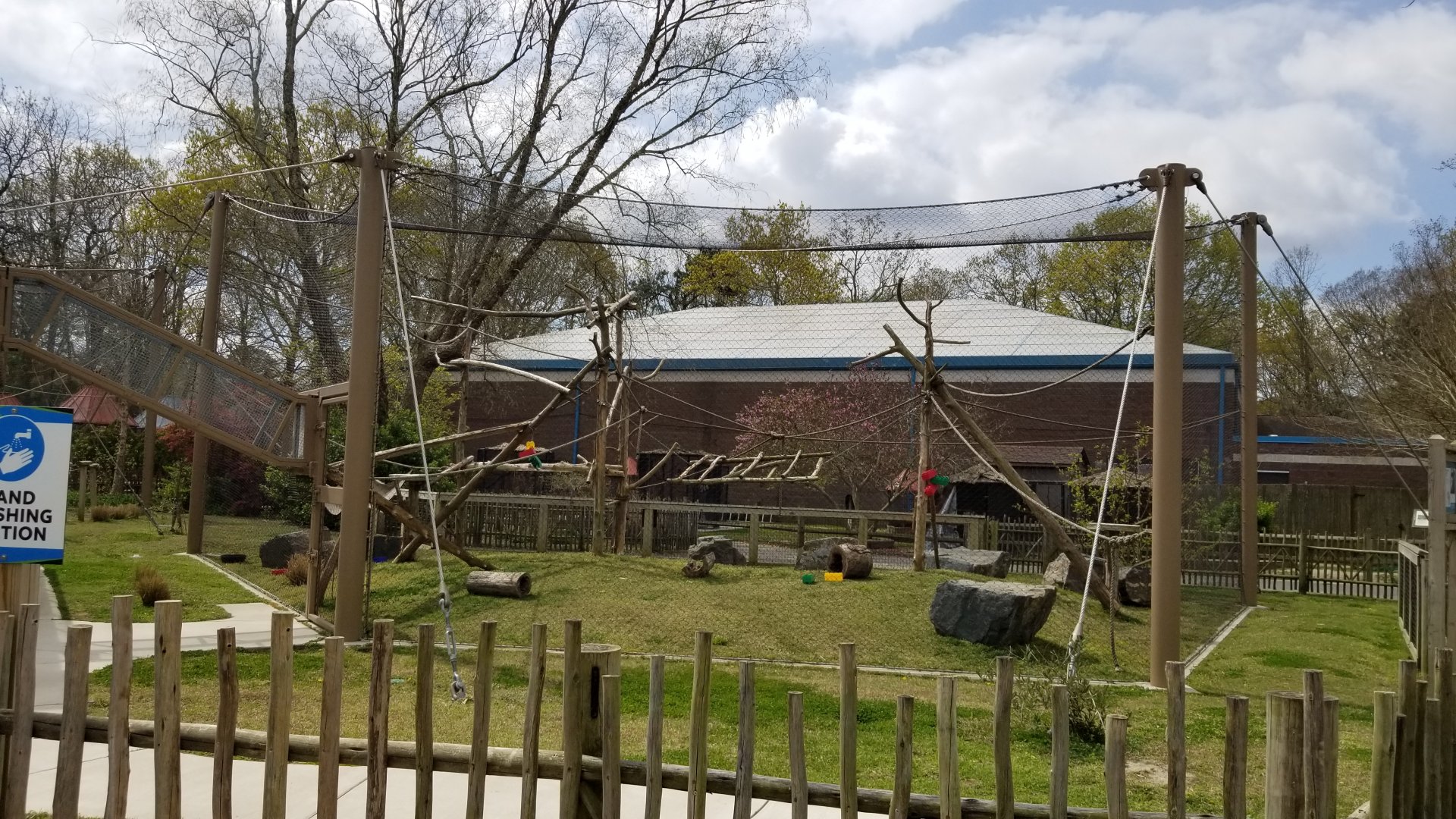 Cape May - DeBrazza's Monkeys