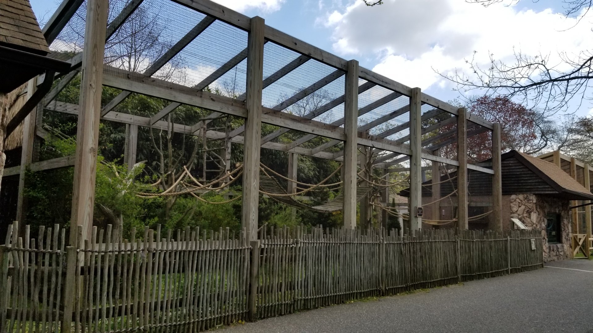 Cape May - Emperor tamarin