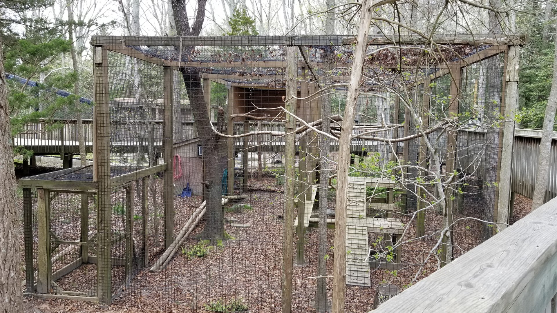 Cape May - Empty exhibit