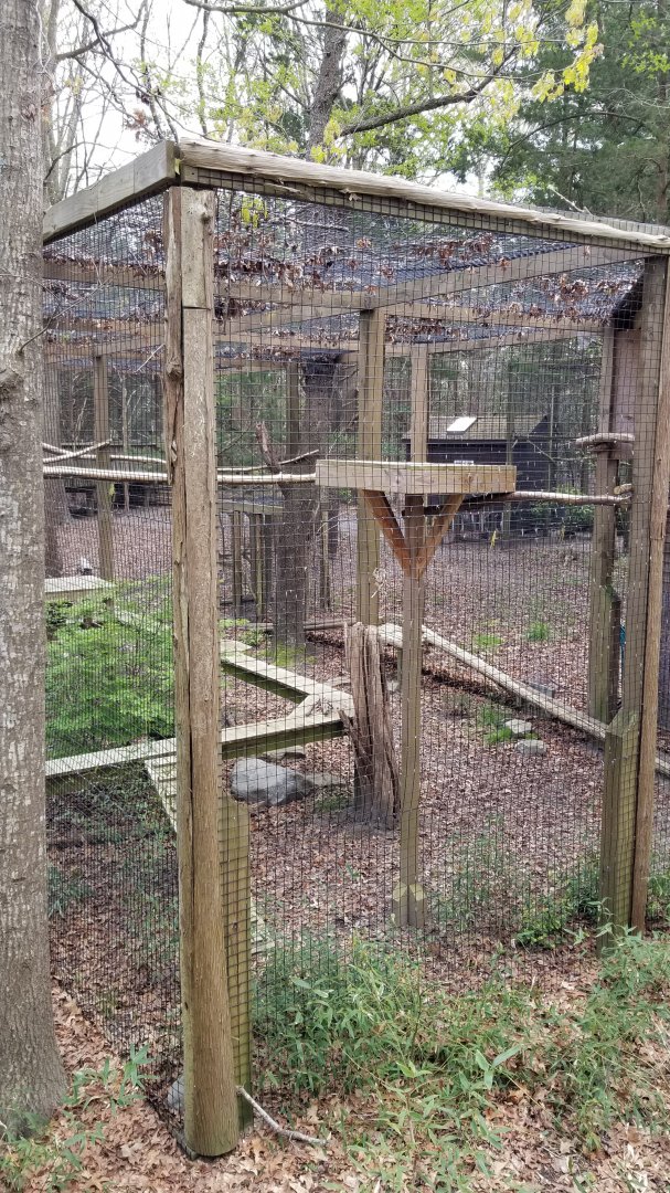 Cape May - Empty exhibit