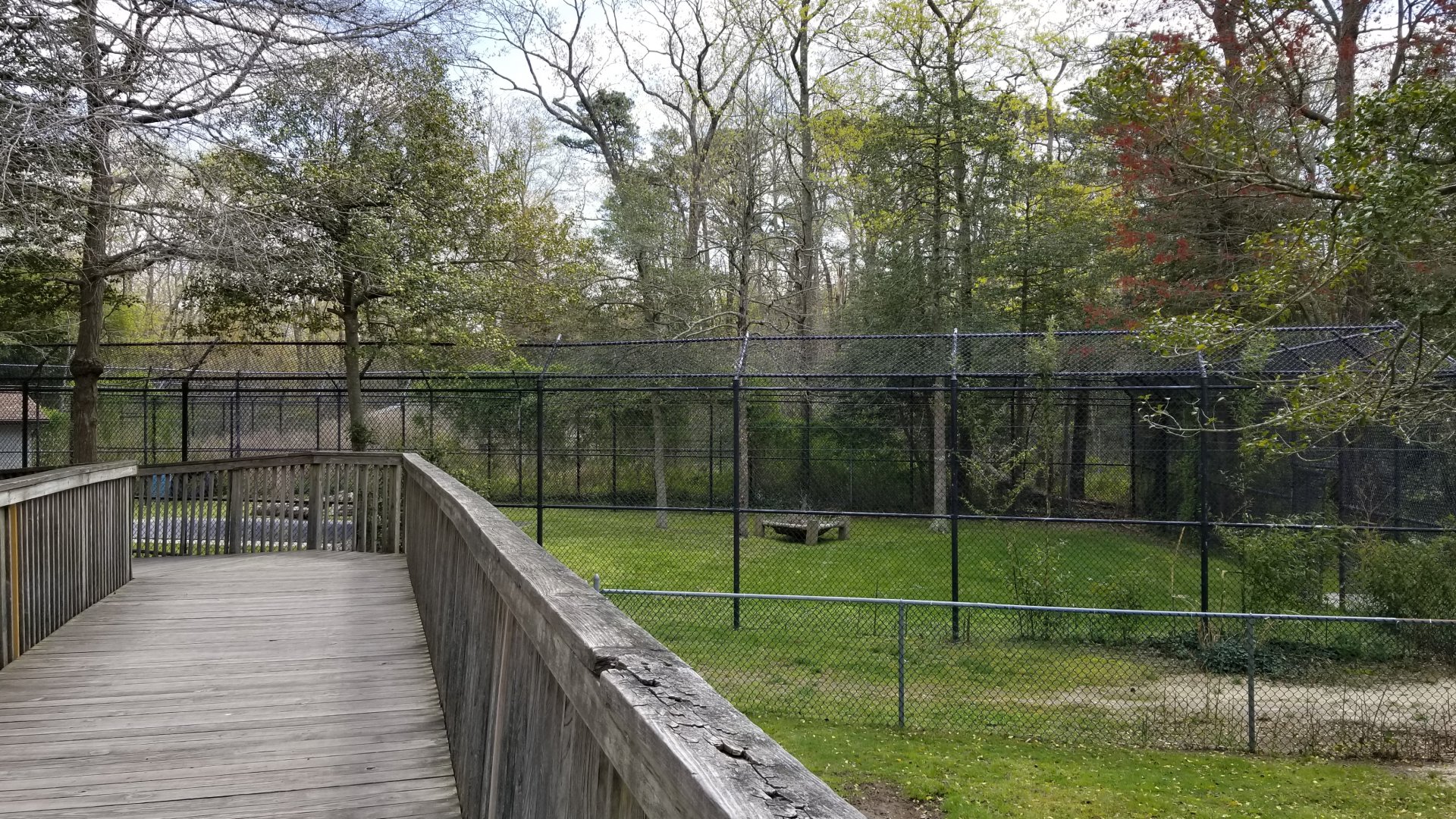 Cape May - Empty exhibit