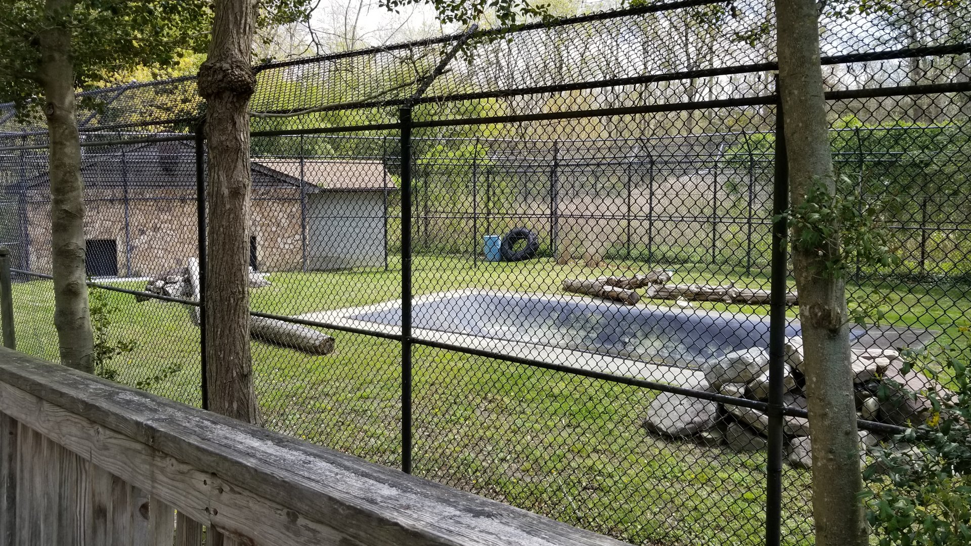 Cape May - Empty exhibit