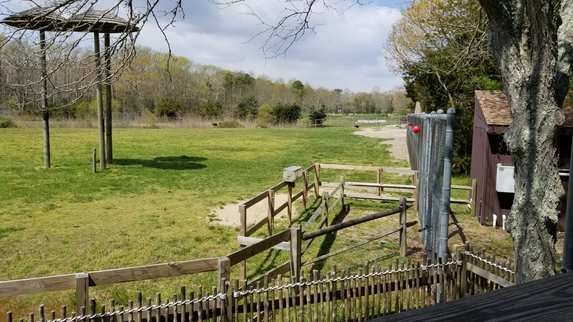 Cape May - Giraffes & ostriches, right end