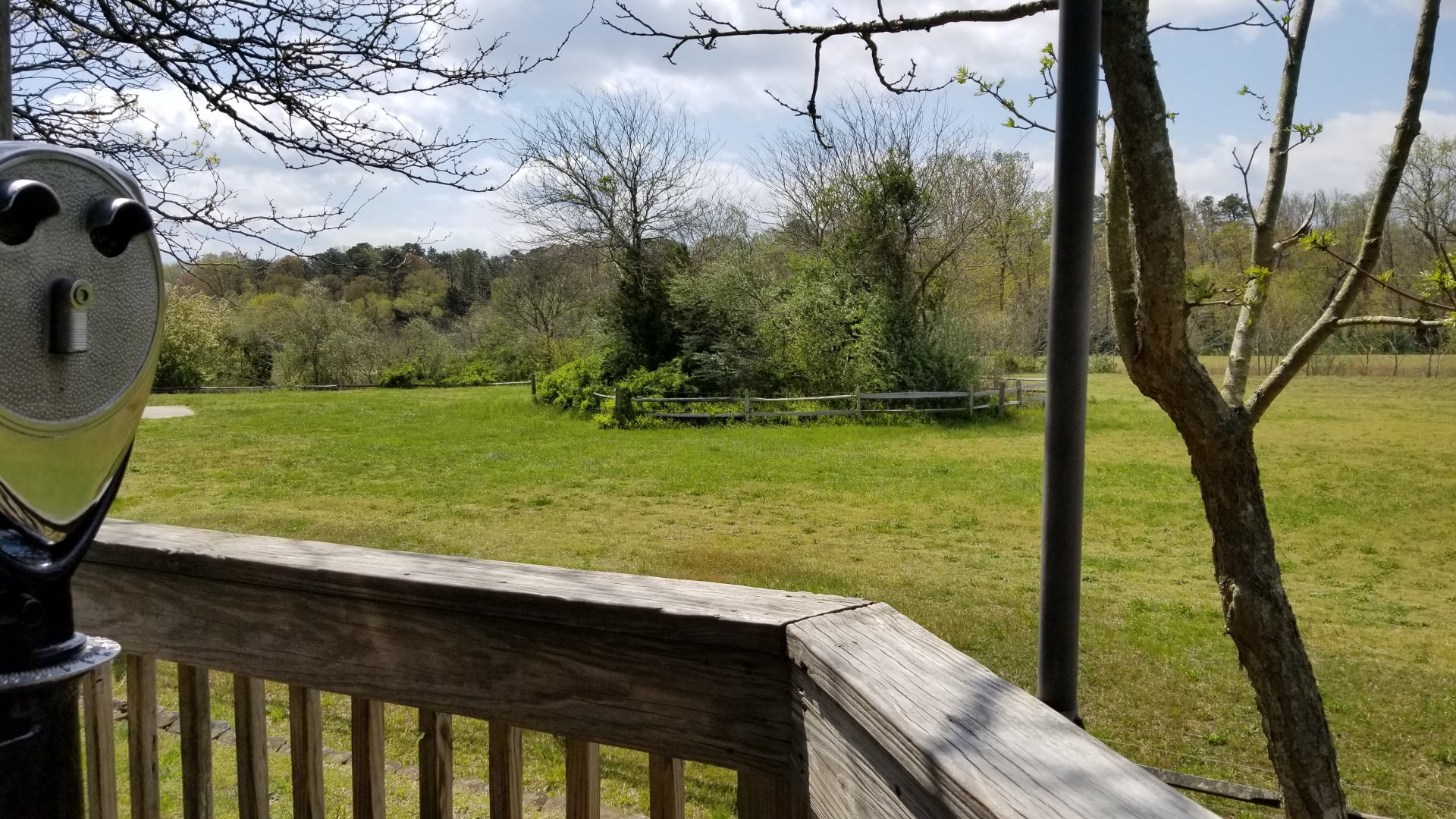 Cape May - Giraffes & ostriches