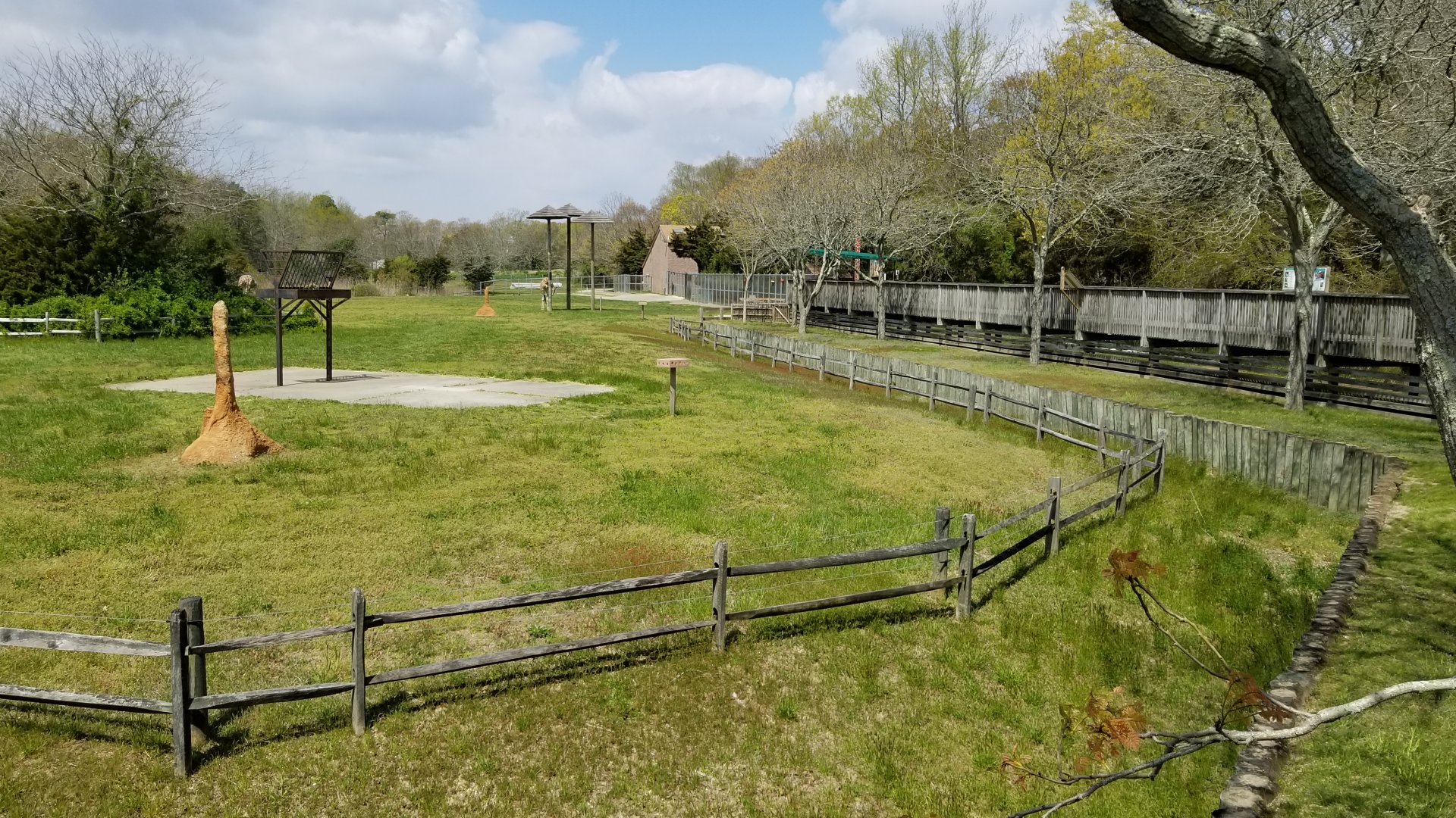Cape May - Giraffes & ostriches