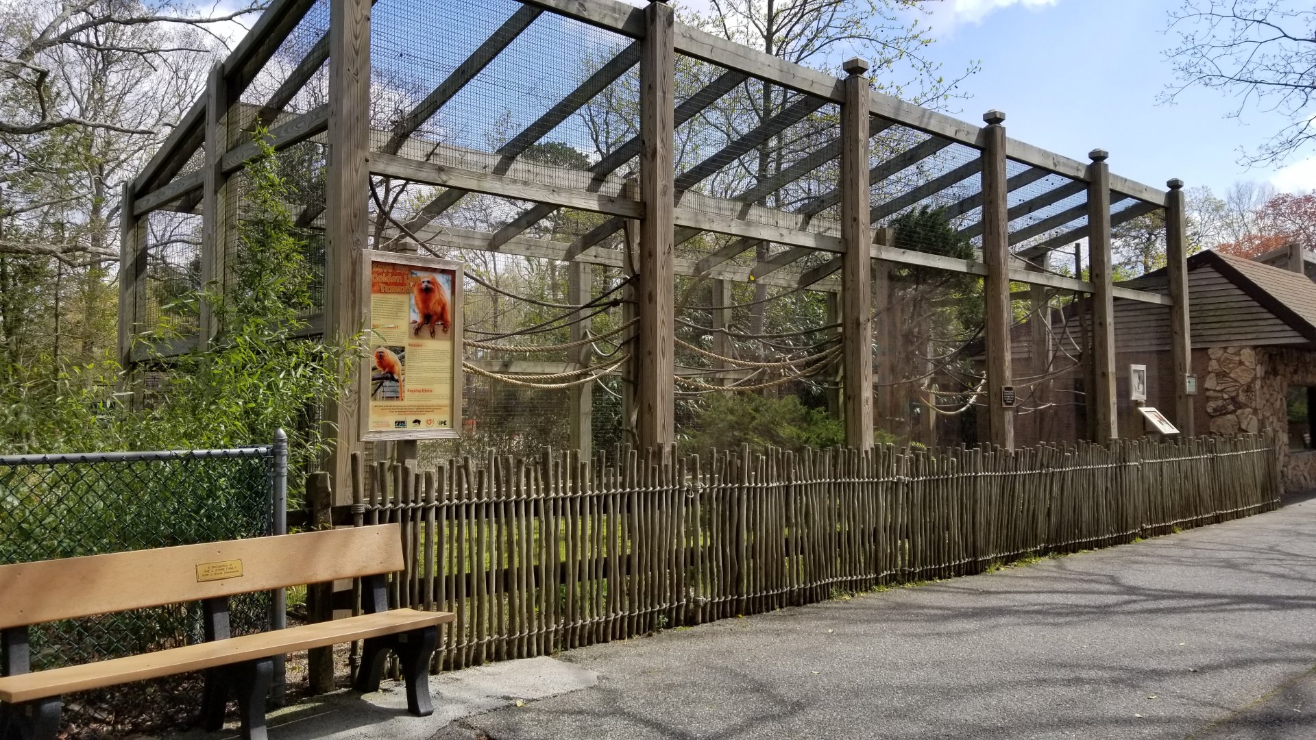 Cape May - Golden lion tamarin, common marmoset