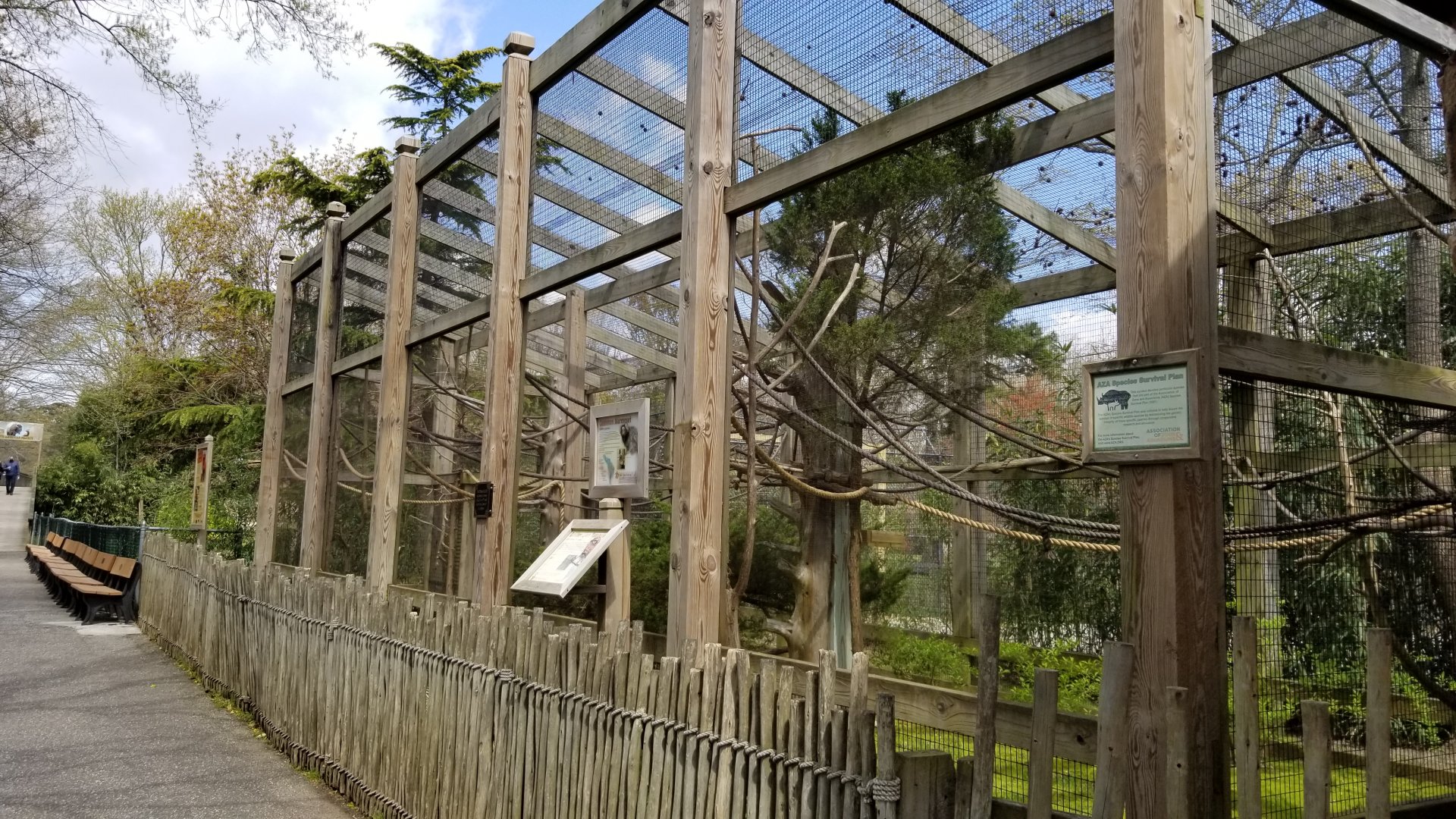 Cape May - Golden lion tamarin, common marmoset