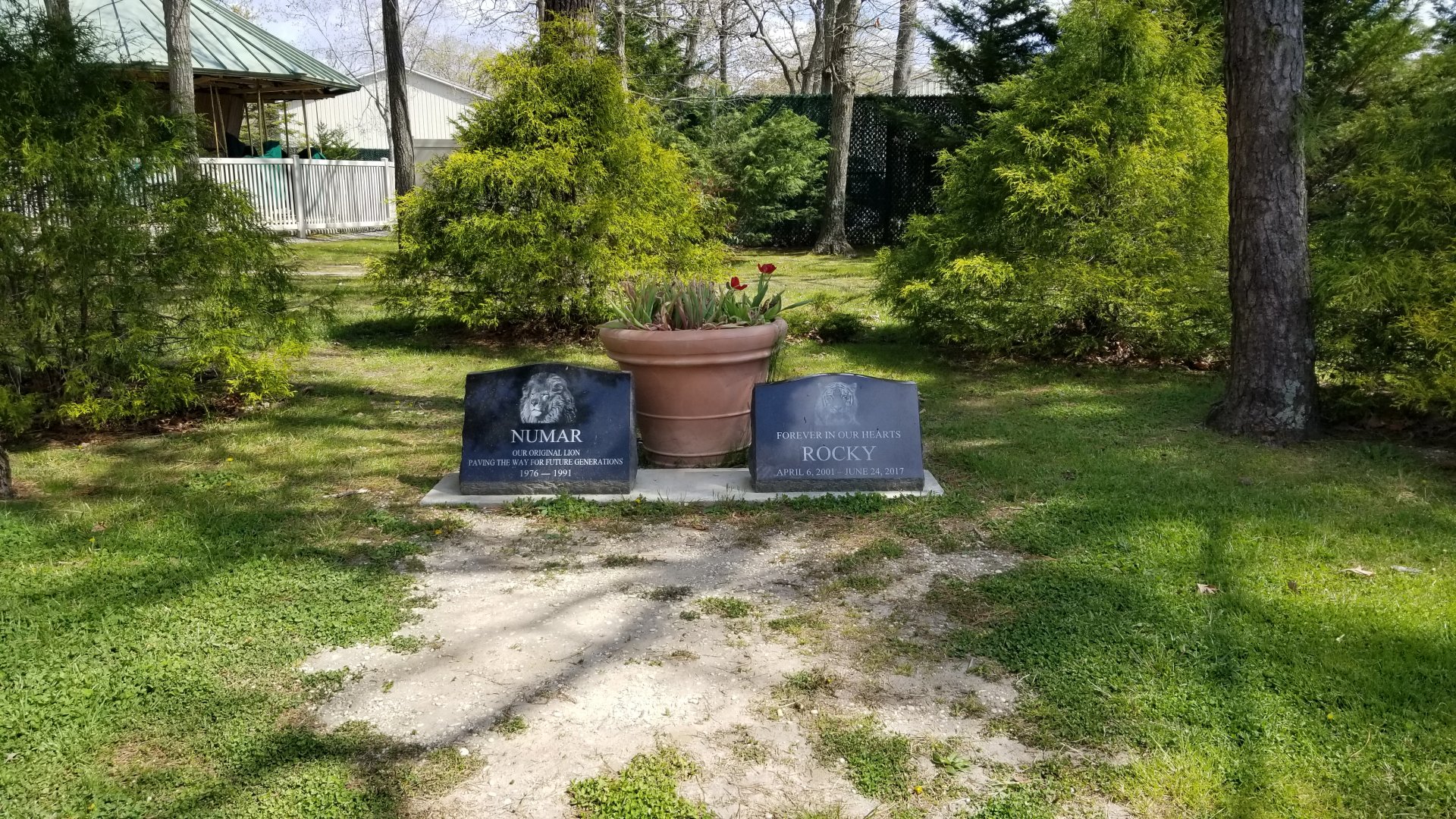 Cape May - Graves for lion "Numbar" and tiger "Rocky"