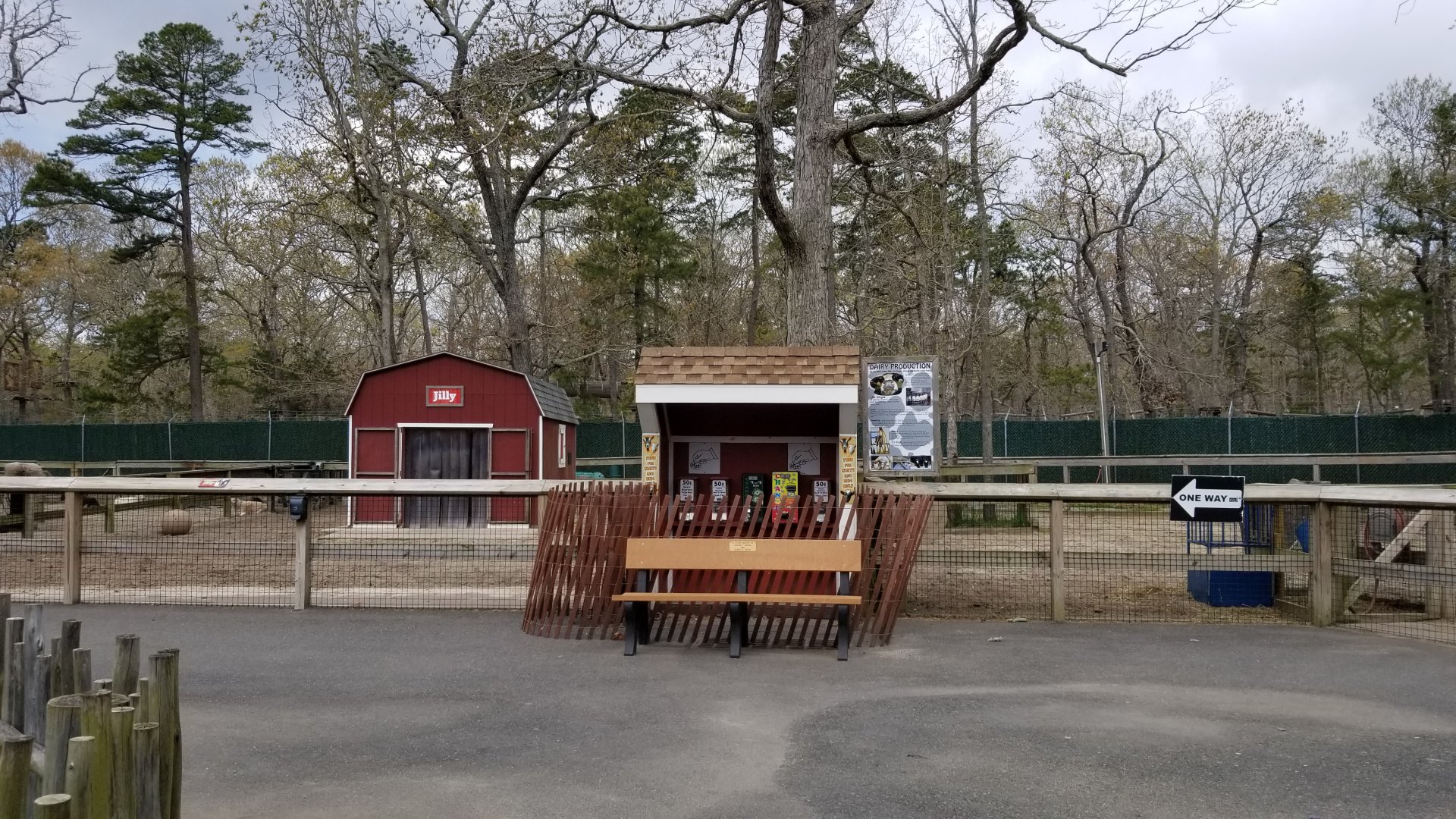 Cape May - Holstein cow "Jilly" exhibit