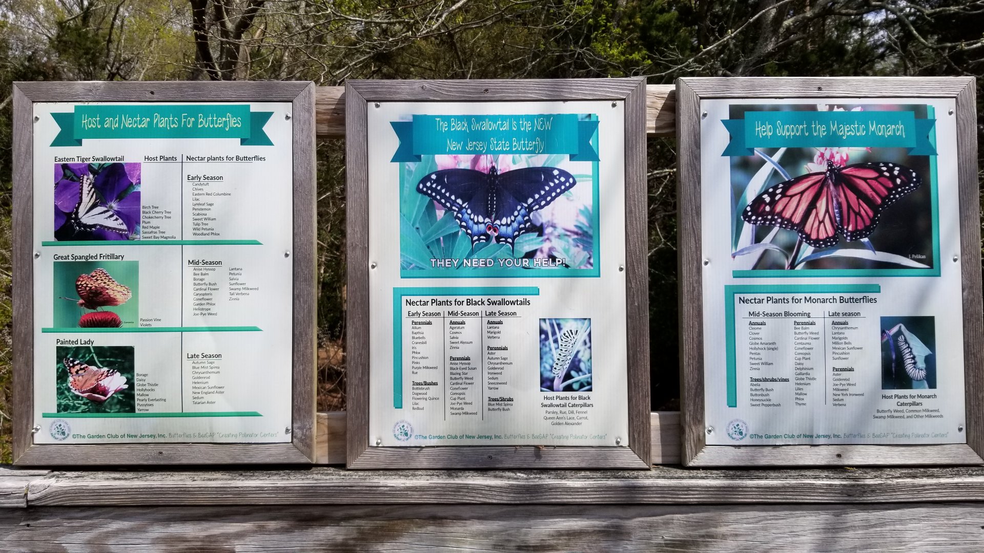 Cape May - Local butterflies signs