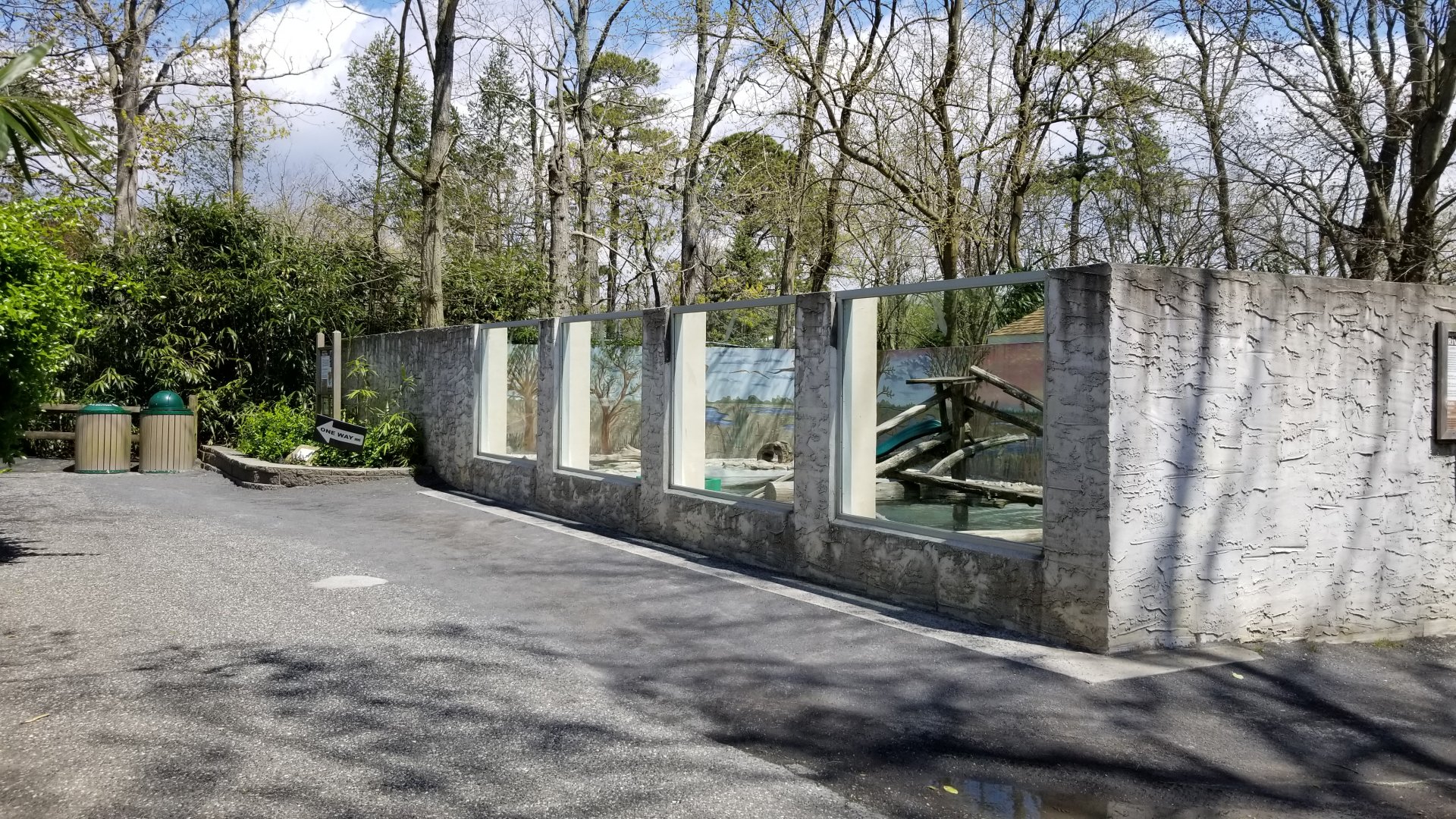 Cape May - North American River Otter