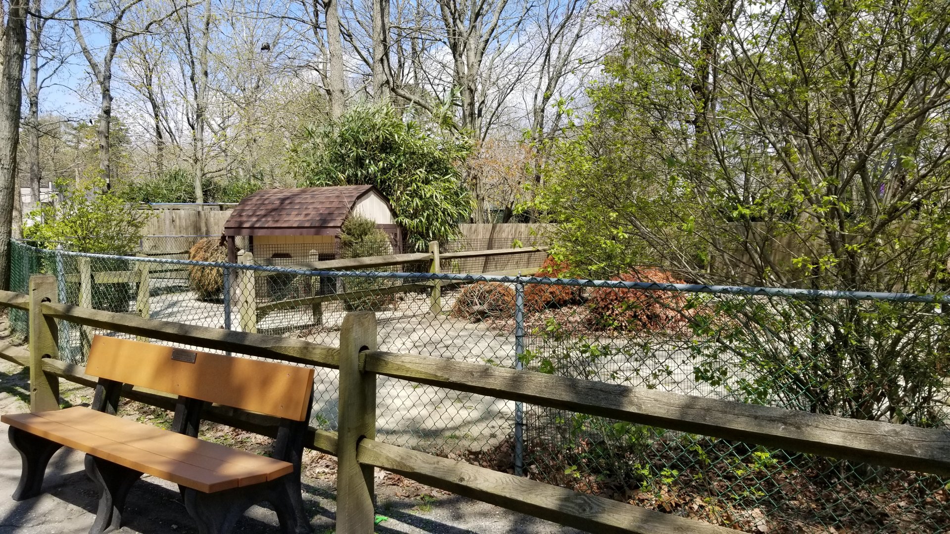 Cape May - Patagonian Mara