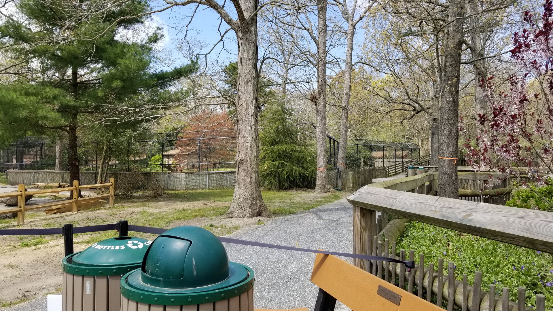 Cape May - Path to cheetahs closed :( :(