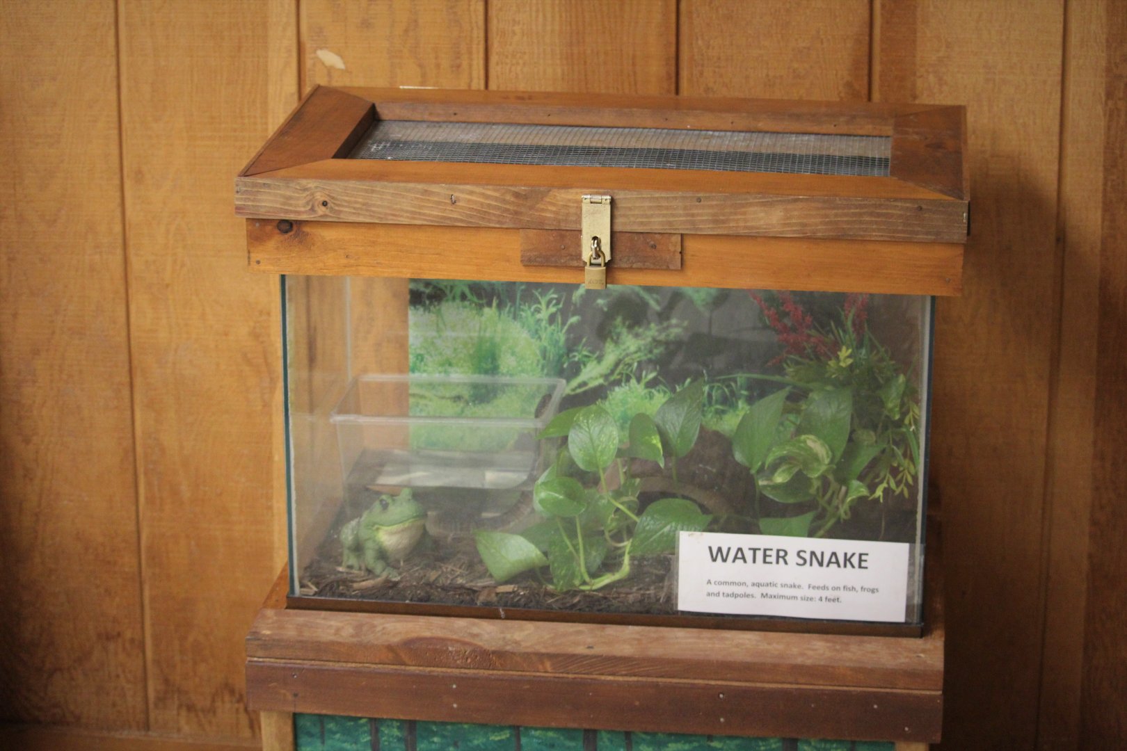 Cape May Point State Park - Northern Watersnake Exhibit