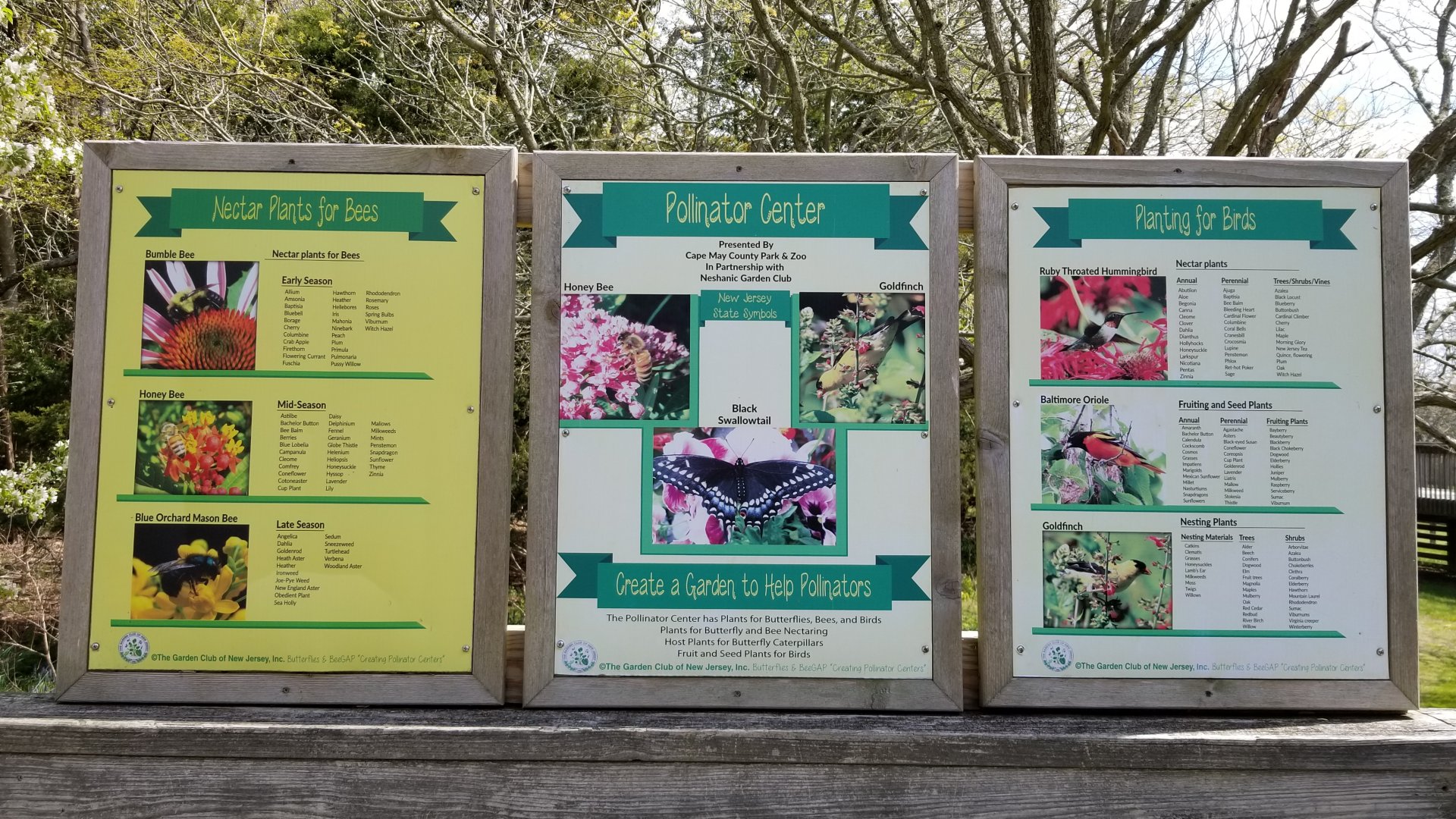 Cape May - Pollinator signs