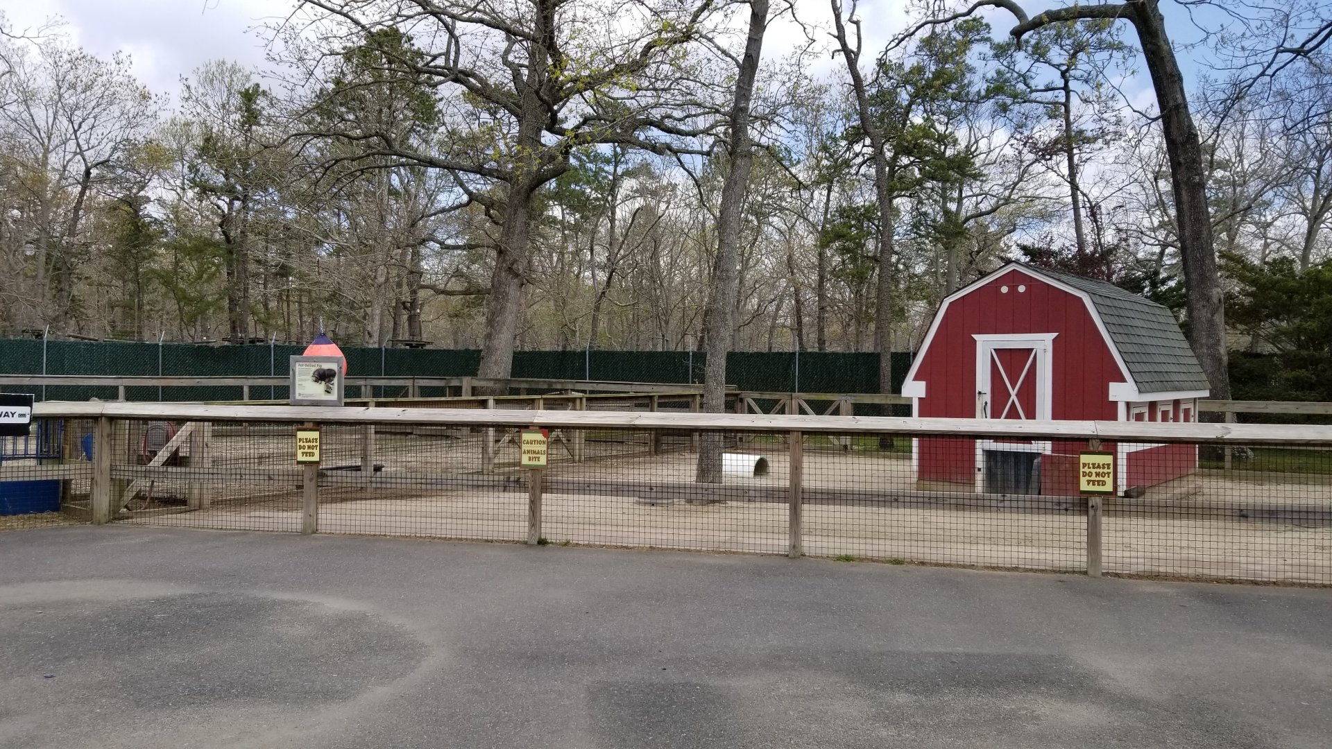 Cape May - Pot-bellied pig exhibit
