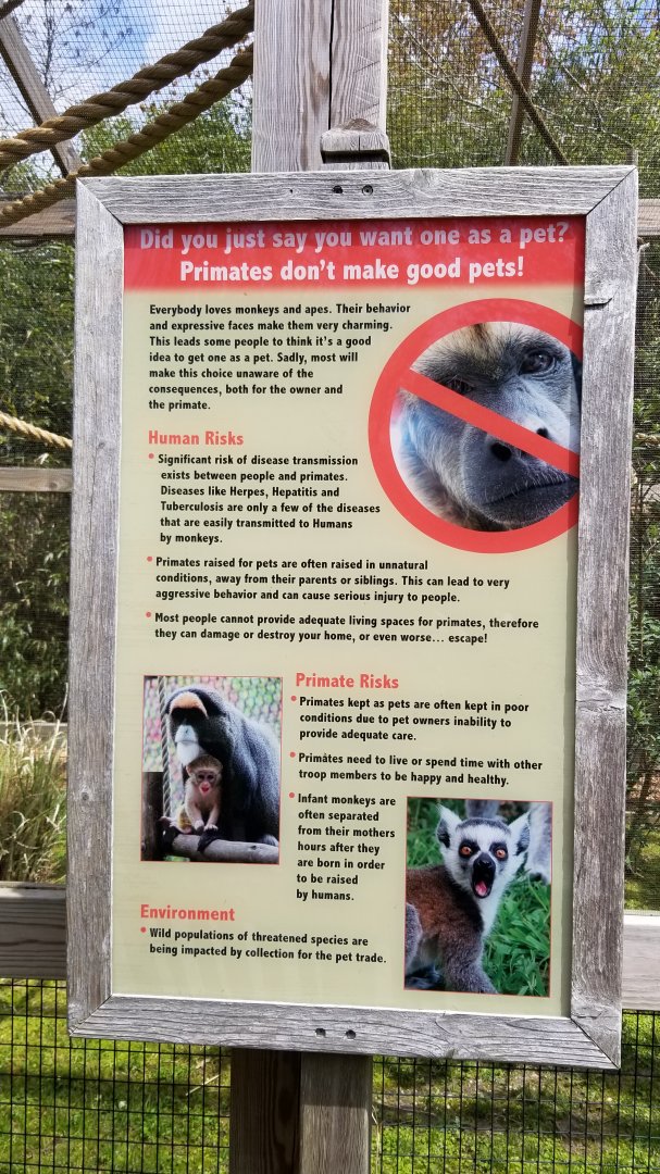 Cape May - Primates as pets sign