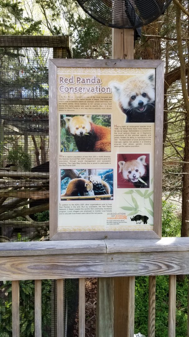 Cape May - Red Panda conservation sign