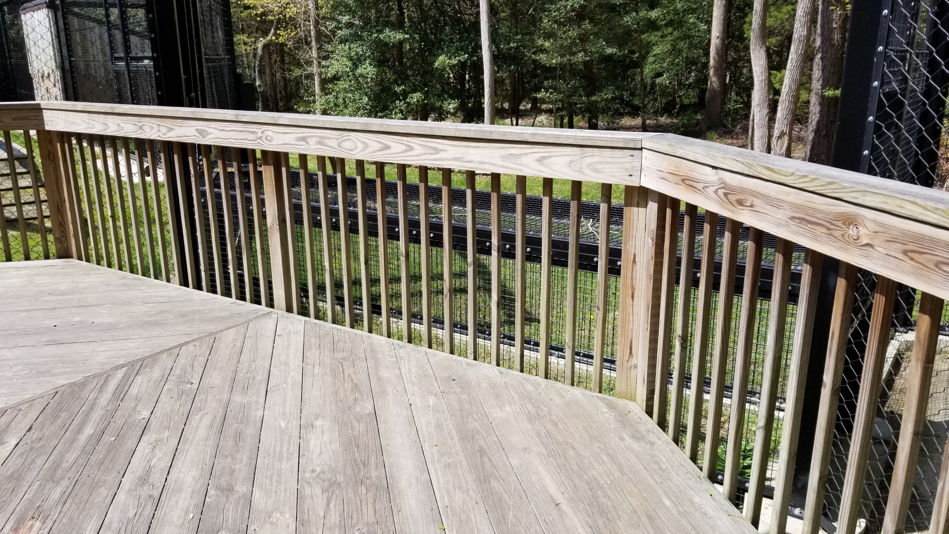 Cape May - Shute connecting two leopard exhibits