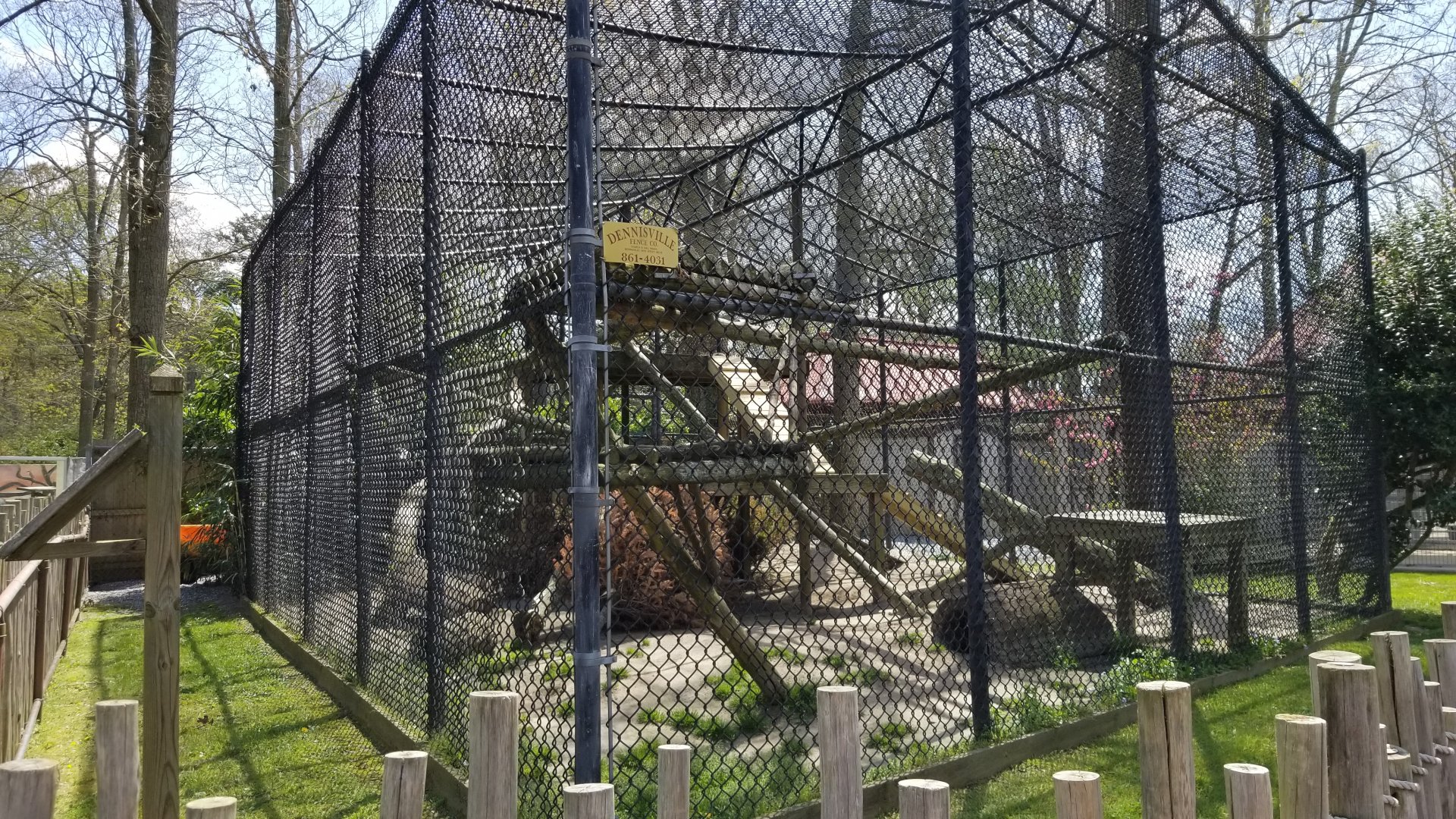 Cape May - "Silver" Fox