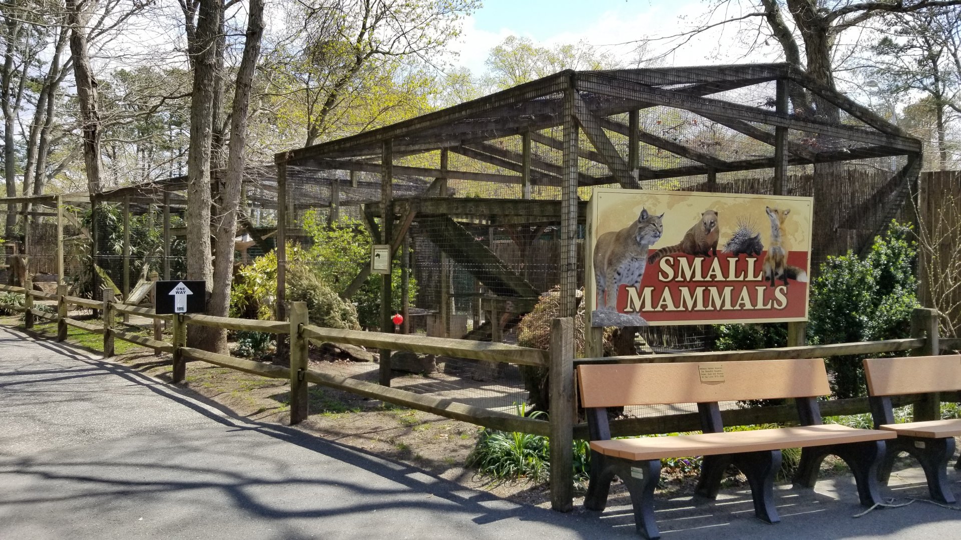 Cape May - Small Mammals