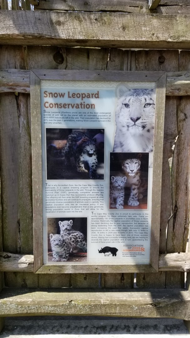 Cape May - Snow Leopard conservation sign