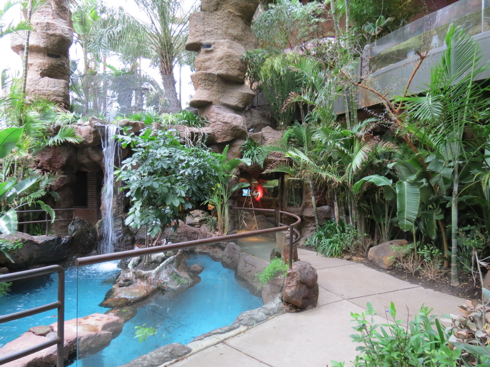 Cape of Good Hope - Black-footed Penguin Exhibit